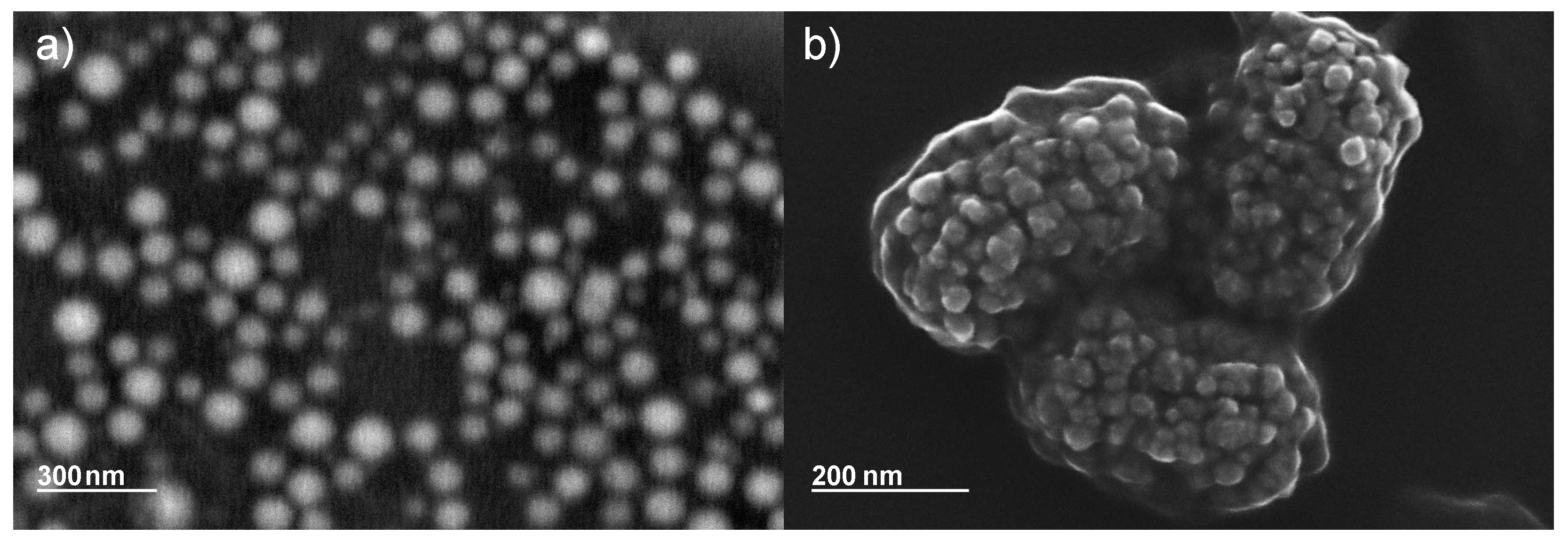 Nanomaterials 13 00786 g003