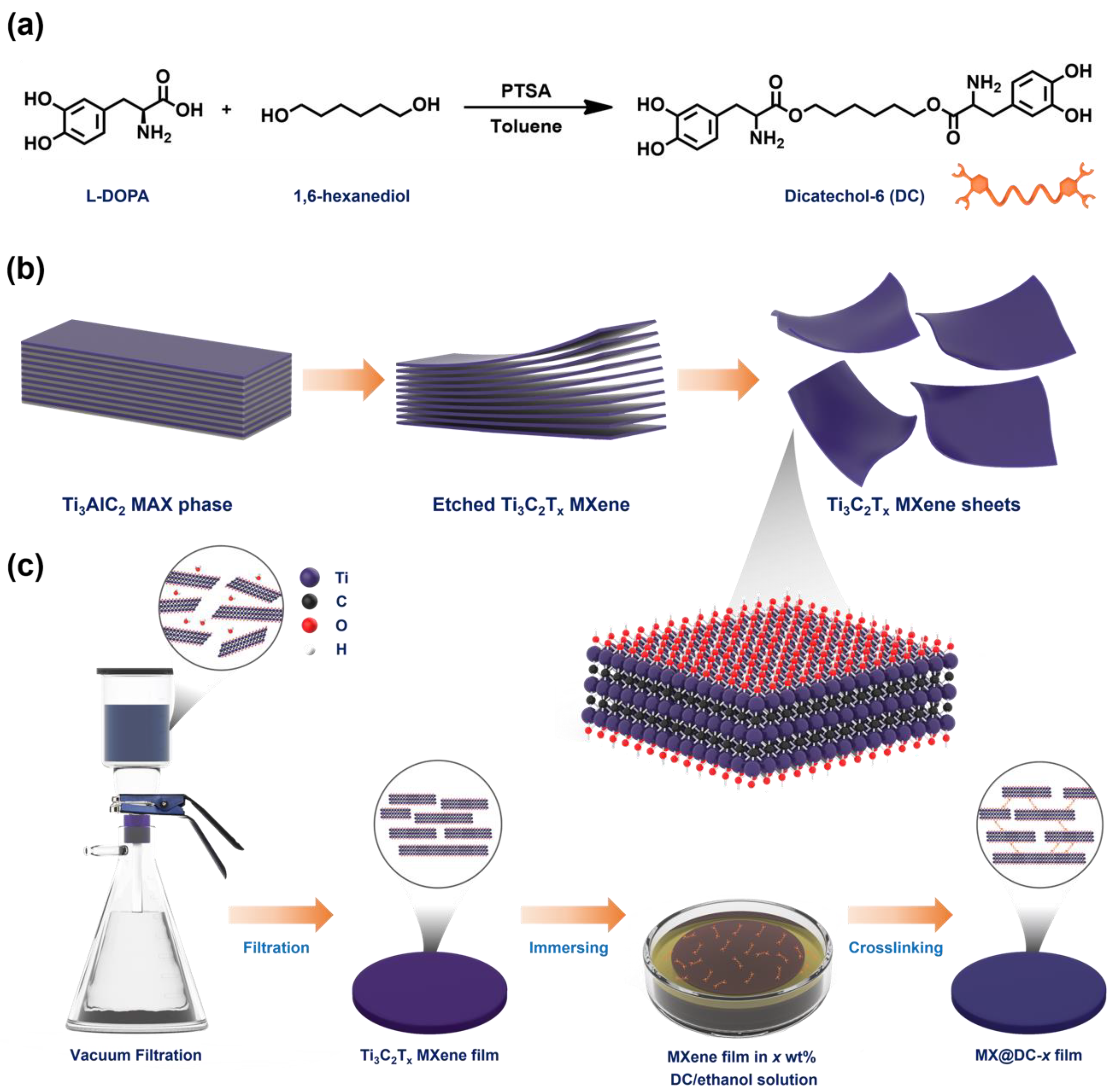 Nanomaterials 13 00787 g001 Nanomaterials 13 00787 g001