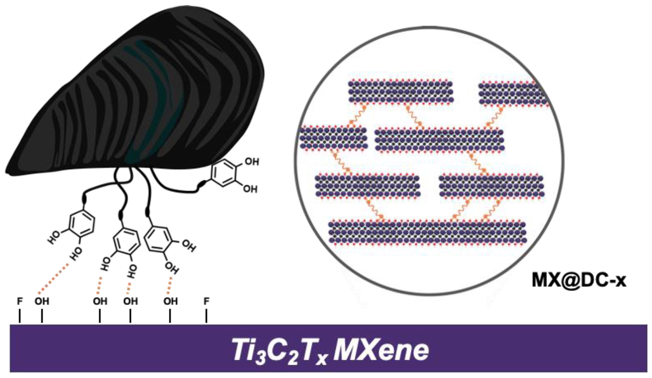 Nanomaterials 13 00787 sch001 Nanomaterials 13 00787 sch001