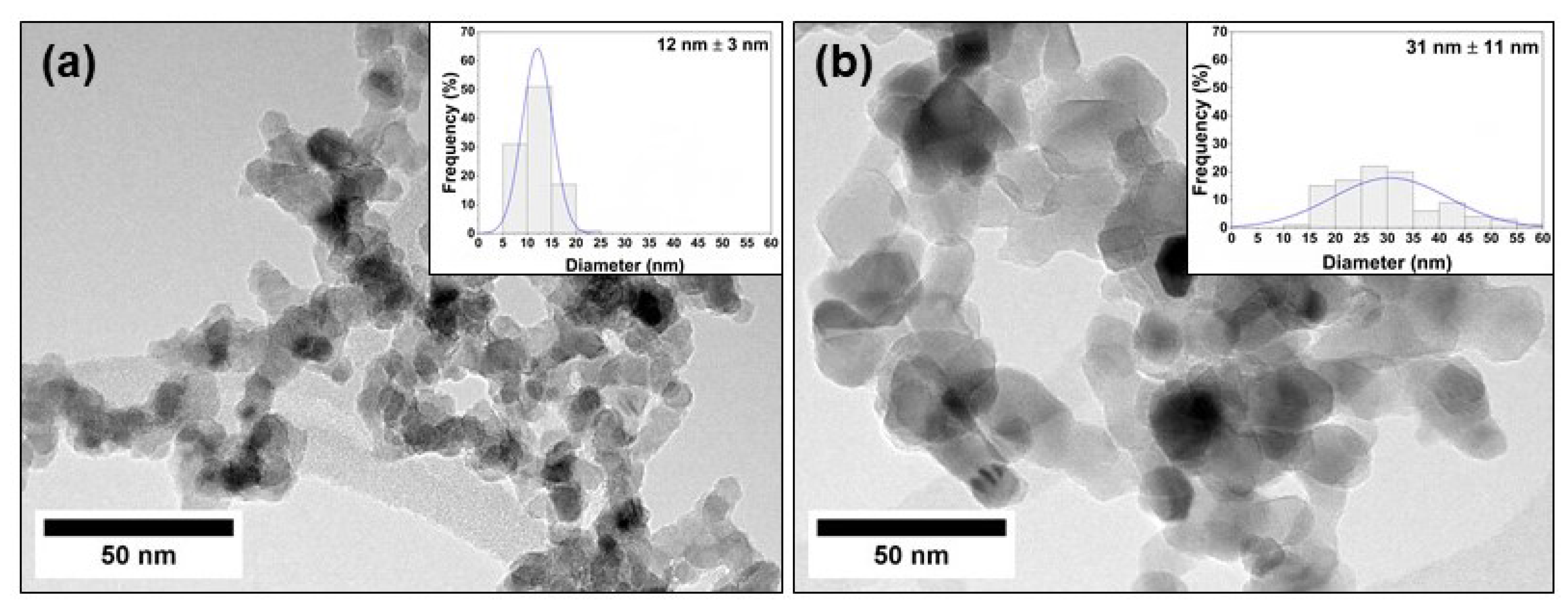 Nanomaterials 13 00792 g001