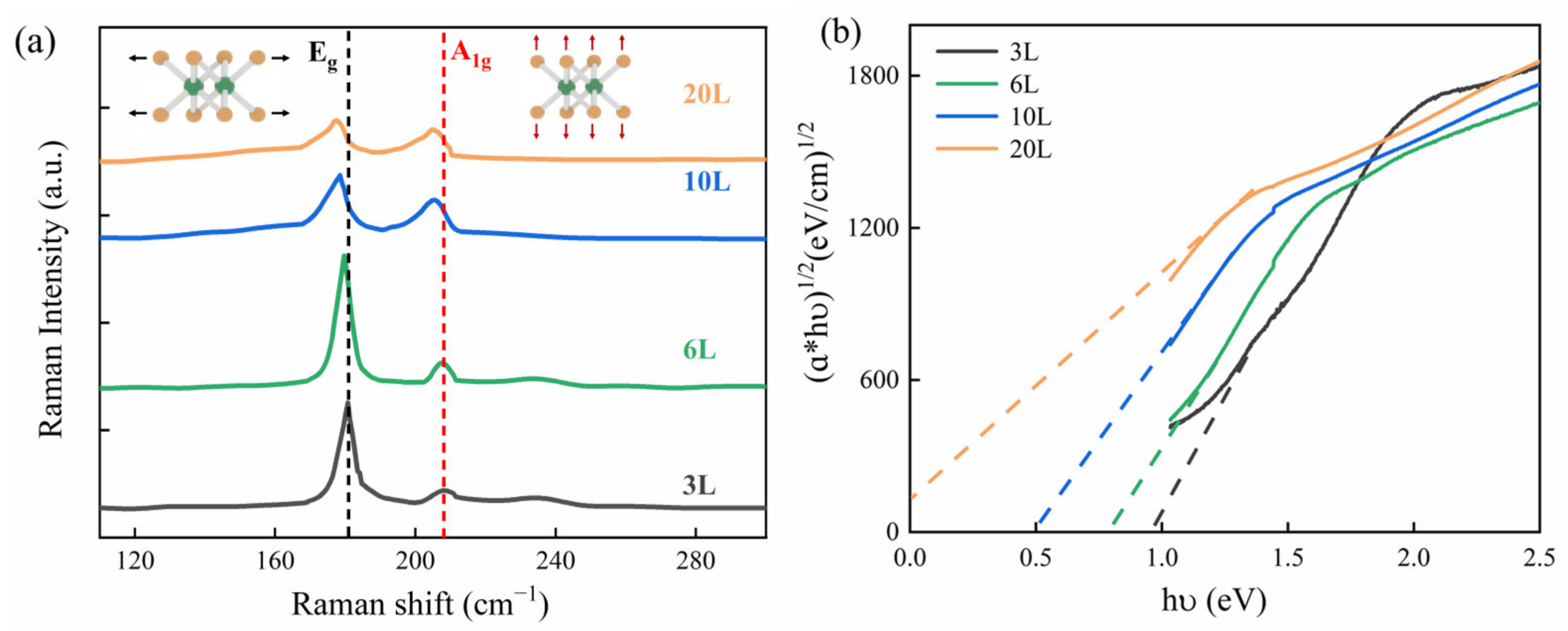 Nanomaterials 13 00795 g001