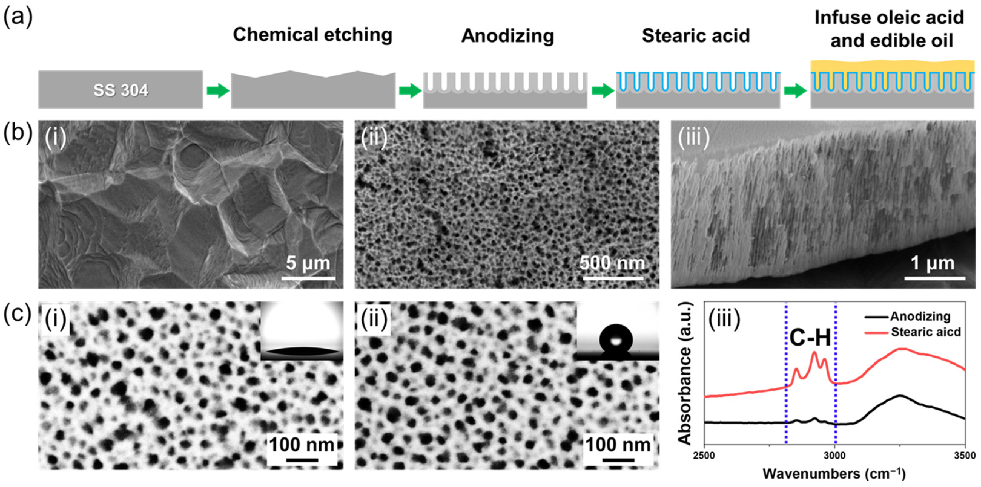 Nanomaterials 13 00807 g001