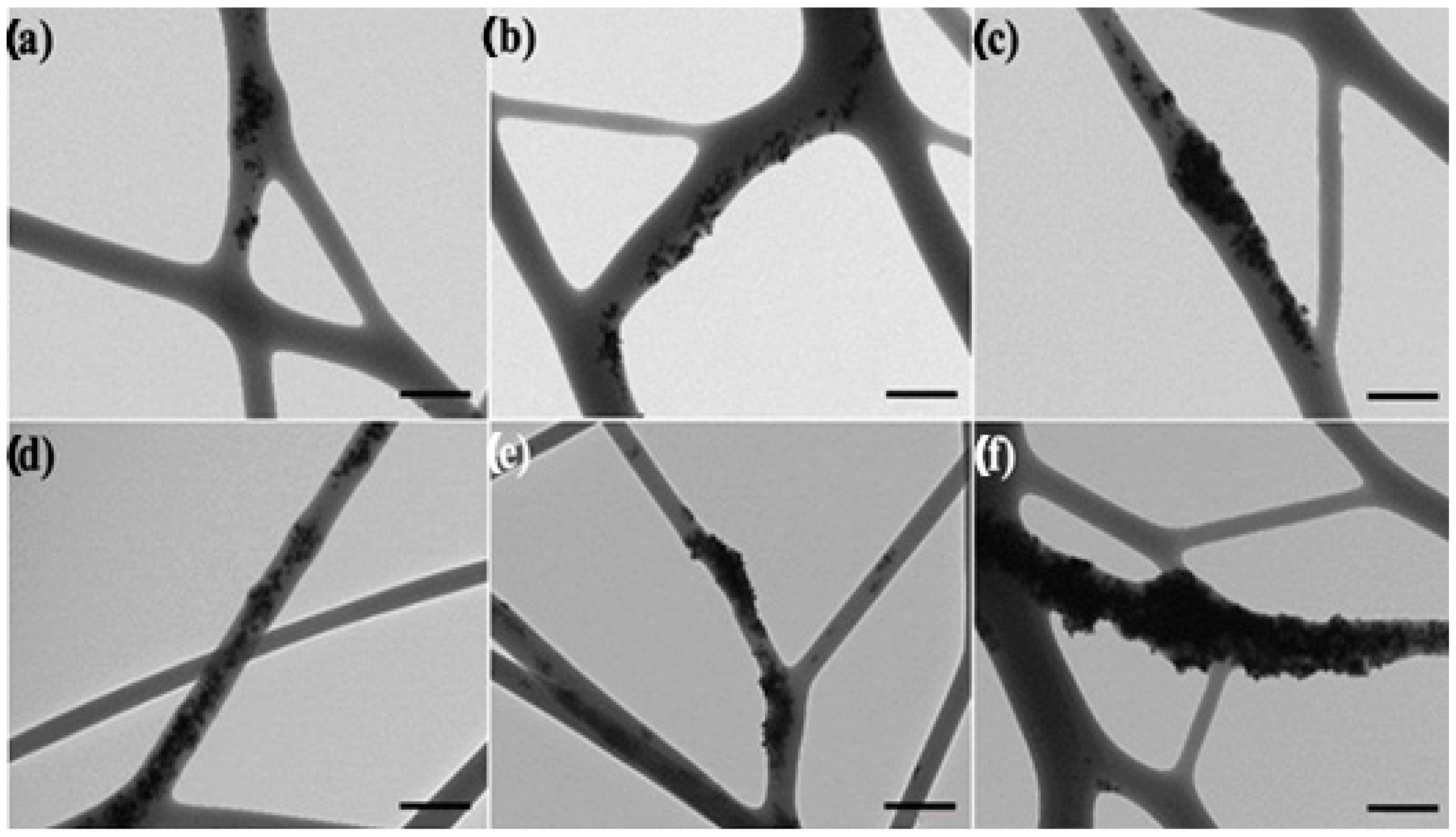 Nanomaterials 13 00823 g004