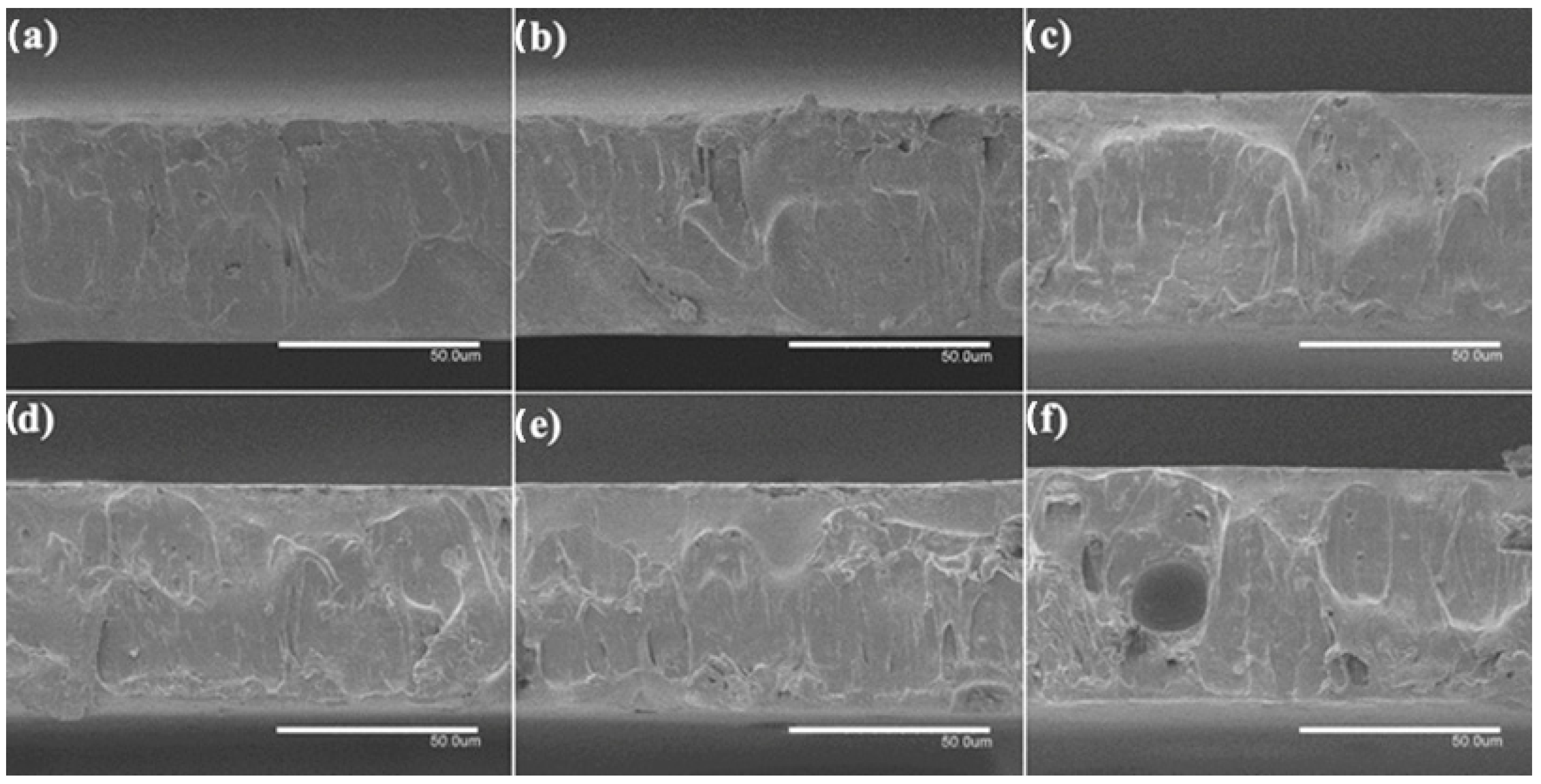 Nanomaterials 13 00823 g006