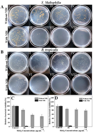 Nanomaterials 13 00824 g006 550
