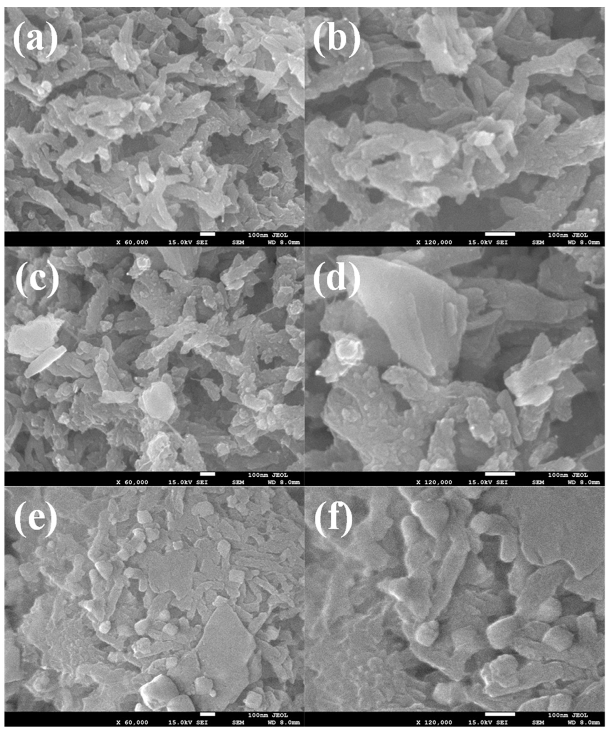 Nanomaterials 13 00828 g002
