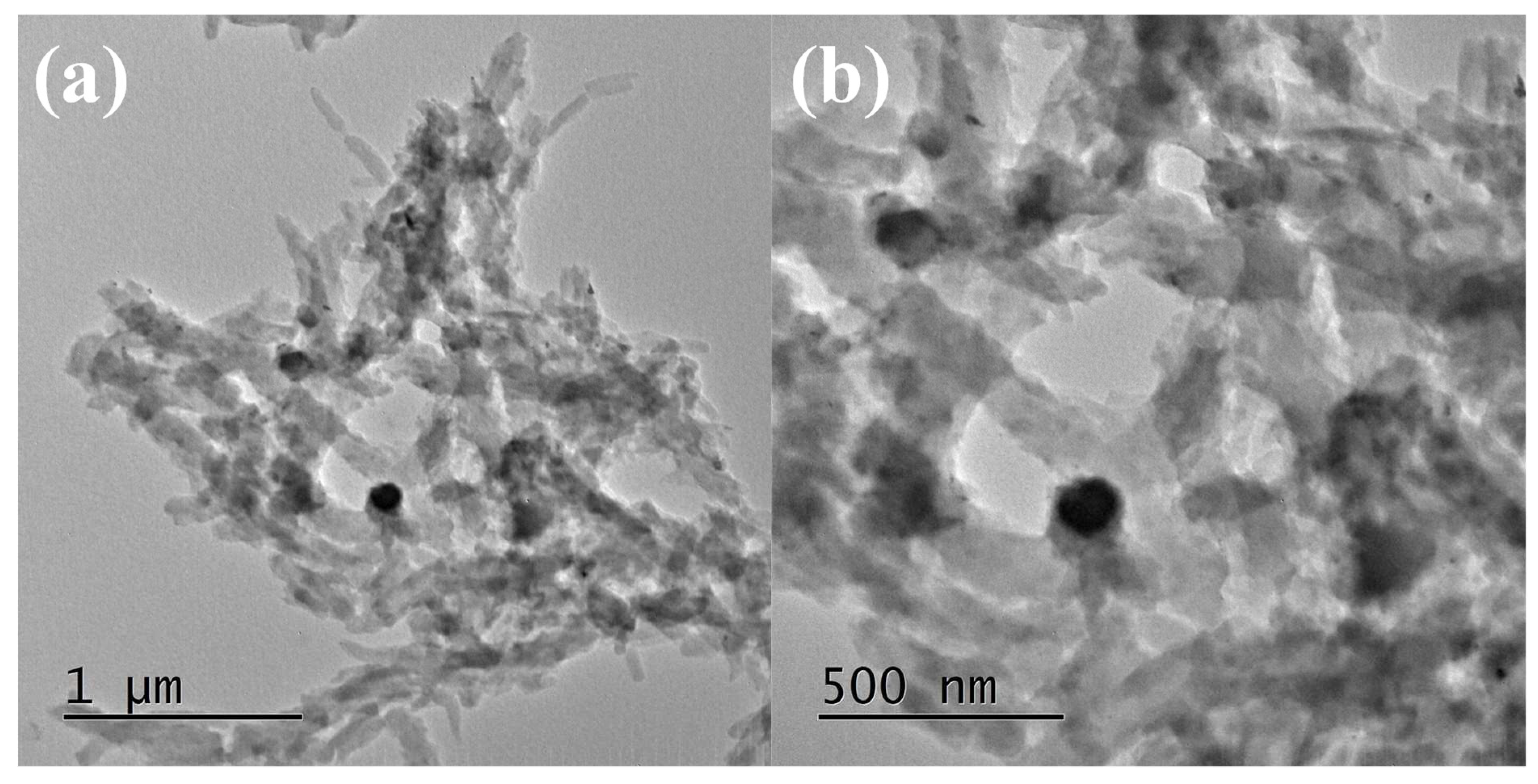 Nanomaterials 13 00828 g003