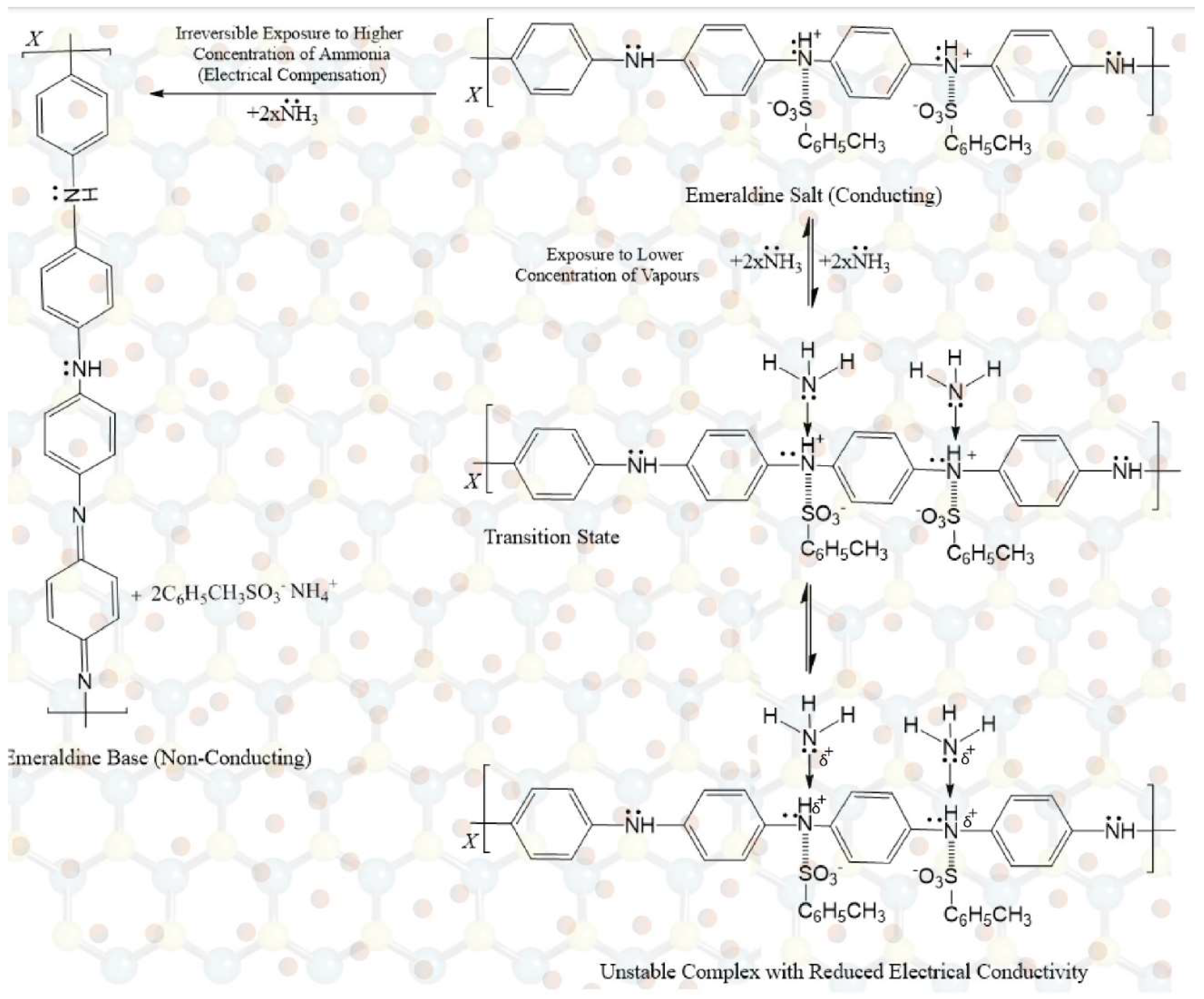 Nanomaterials 13 00828 g014