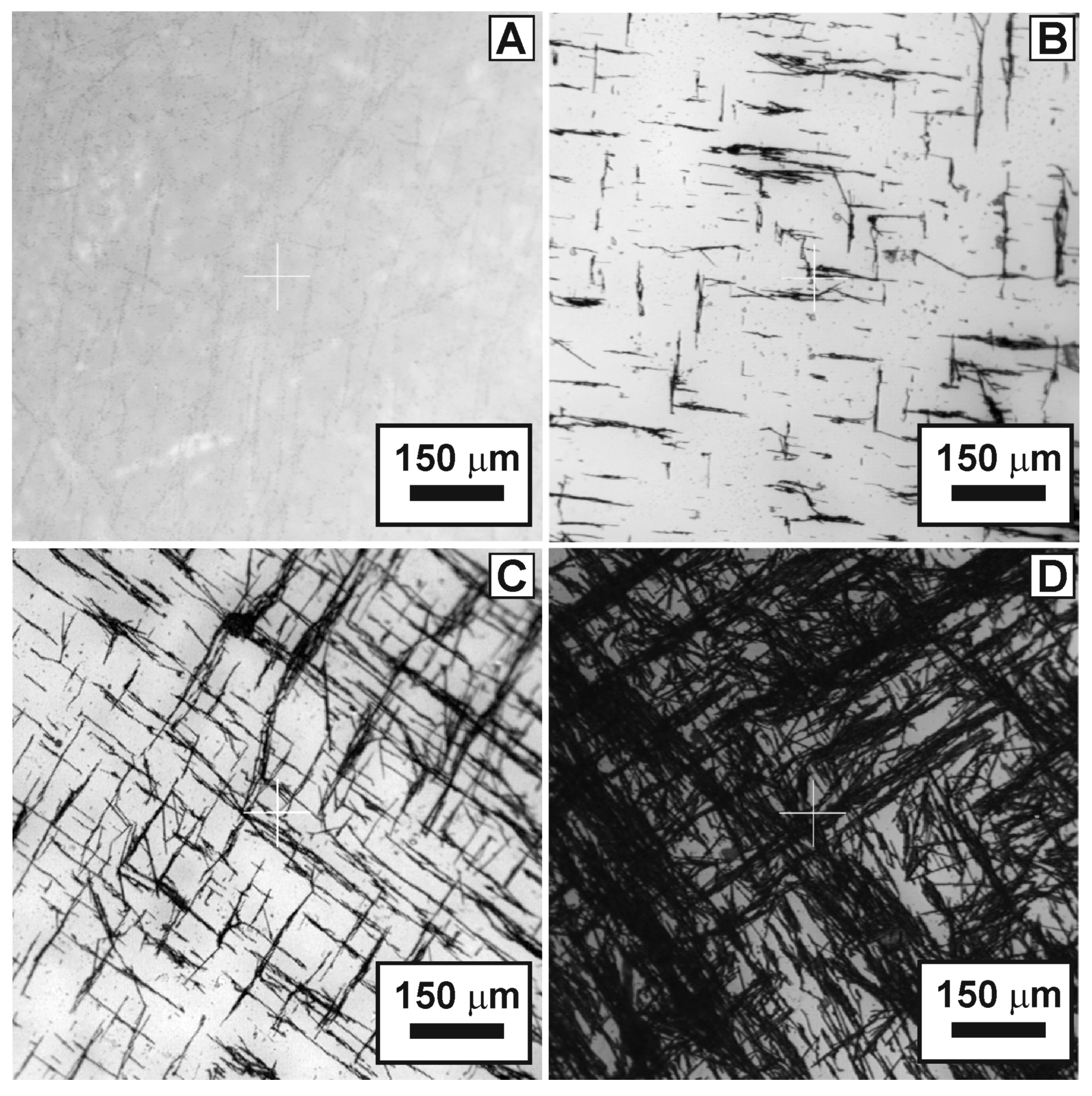 Nanomaterials 13 00831 g001