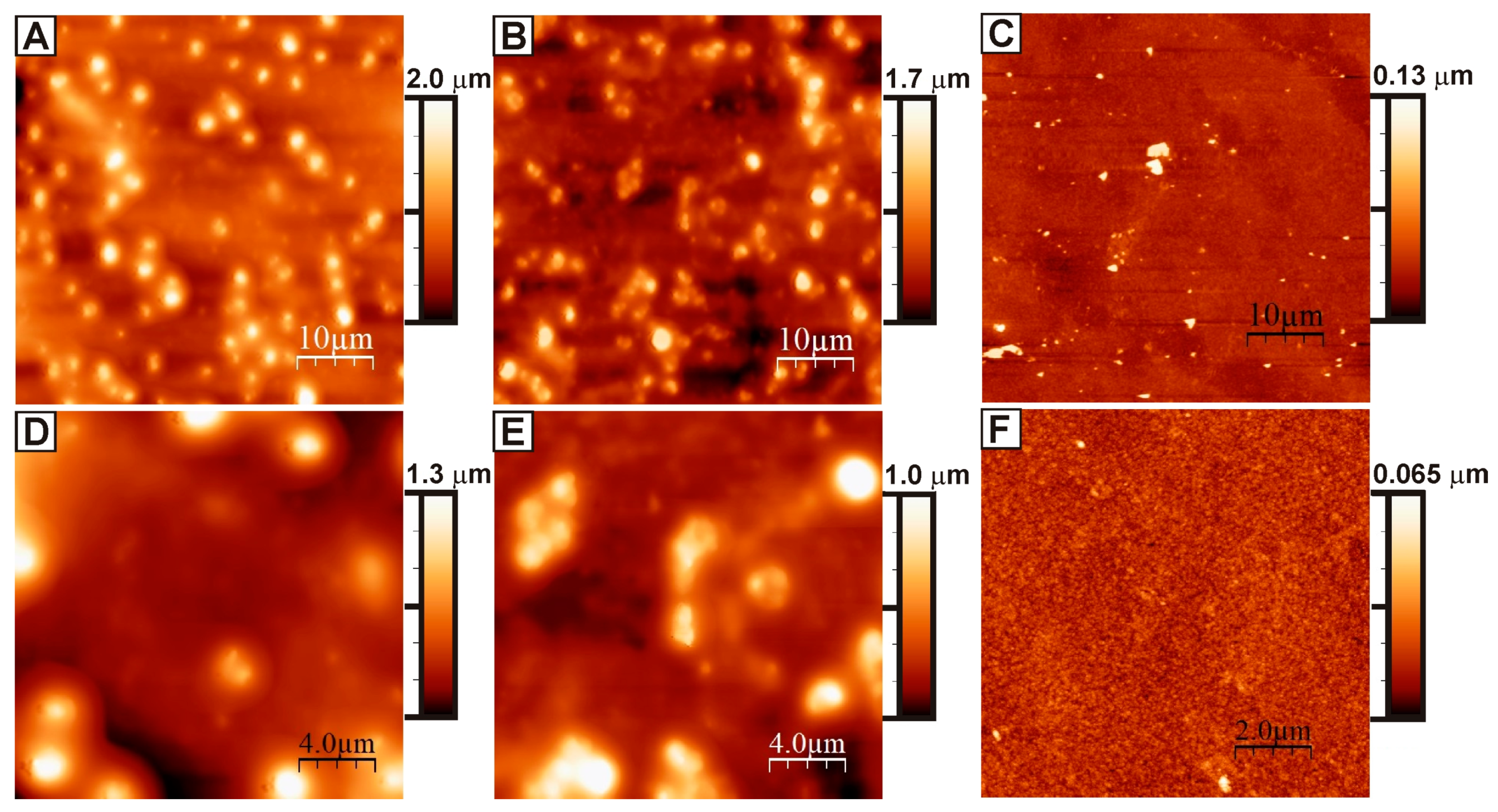 Nanomaterials 13 00831 g003