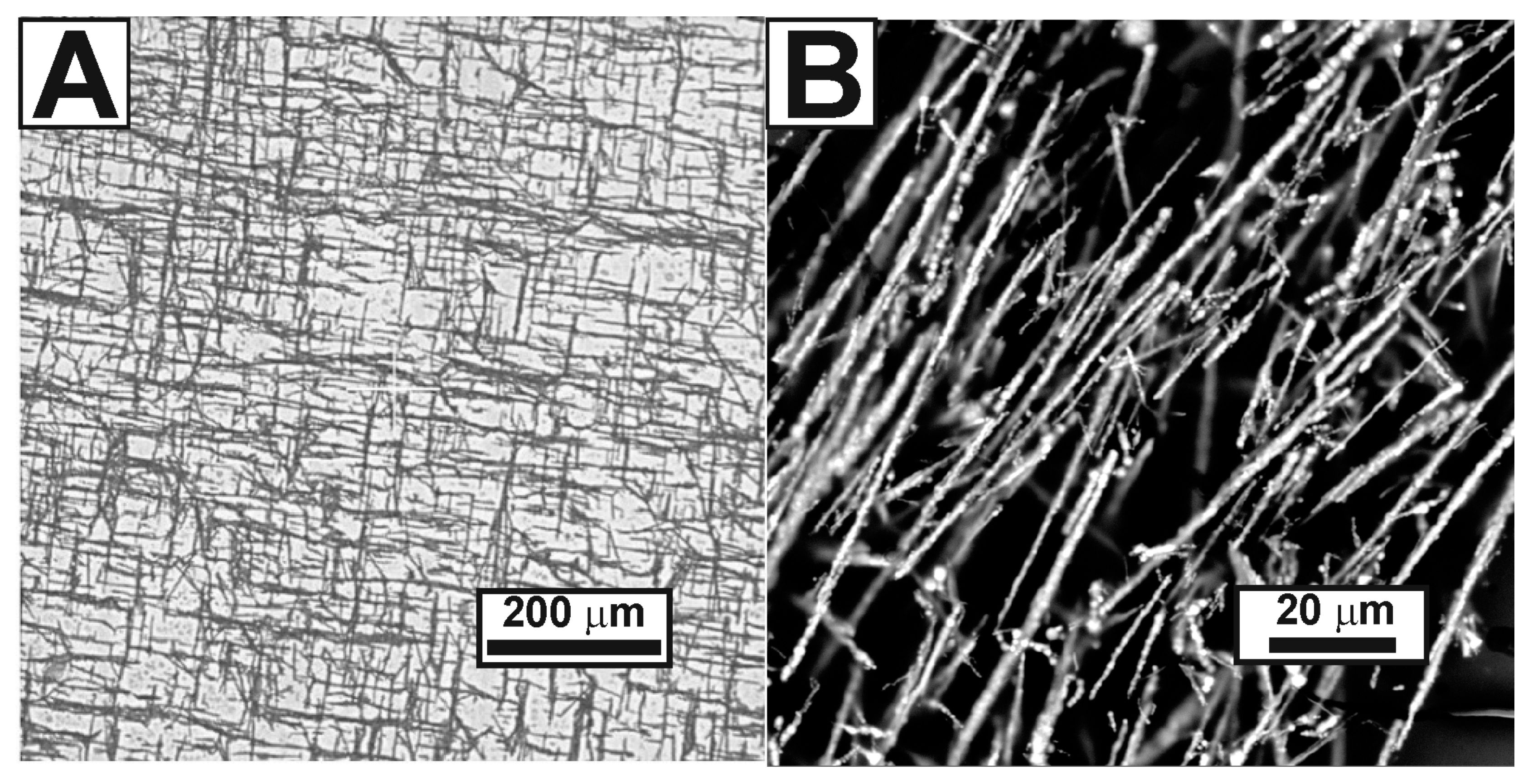 Nanomaterials 13 00831 g005