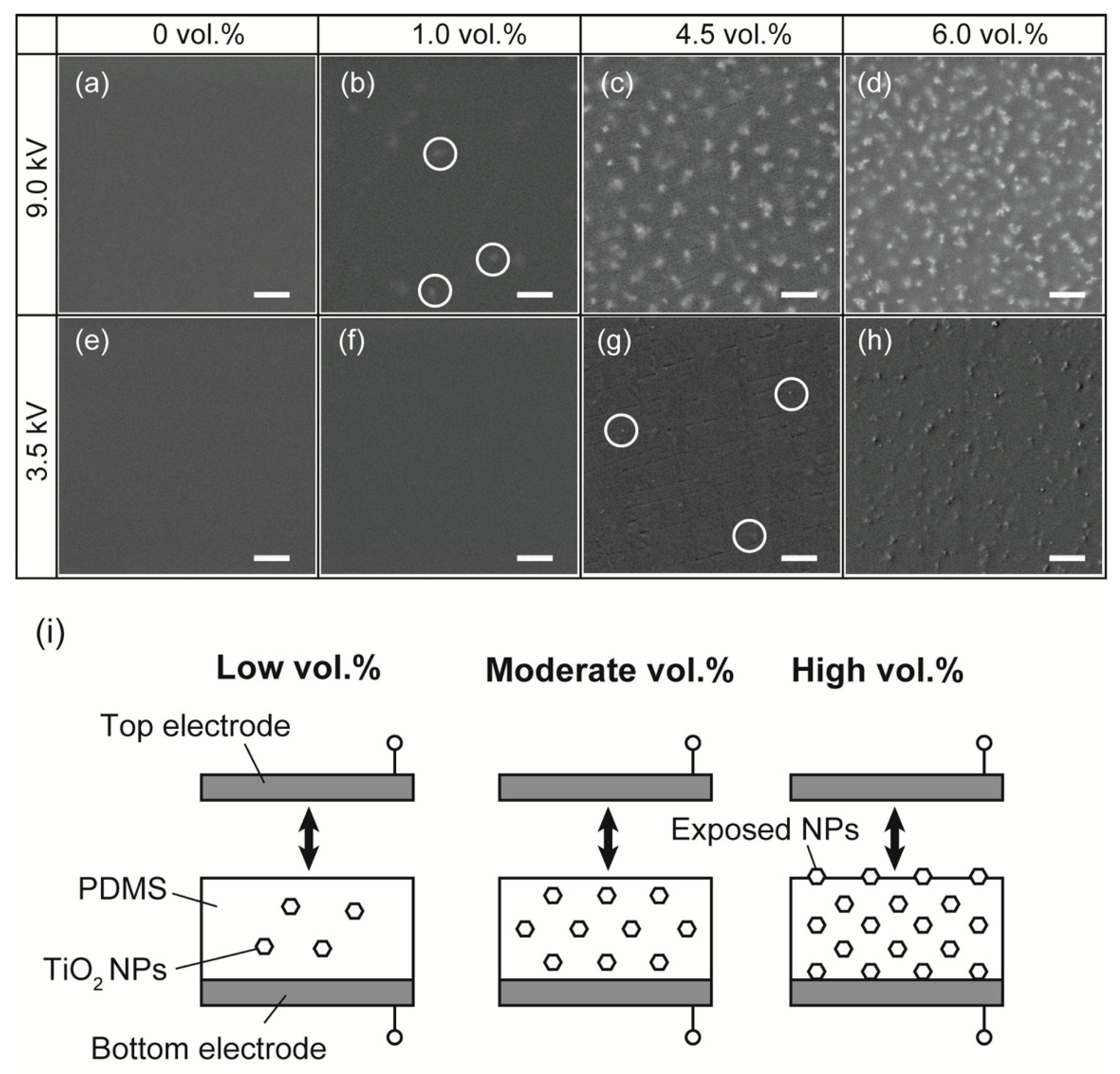 Nanomaterials 13 00832 g004