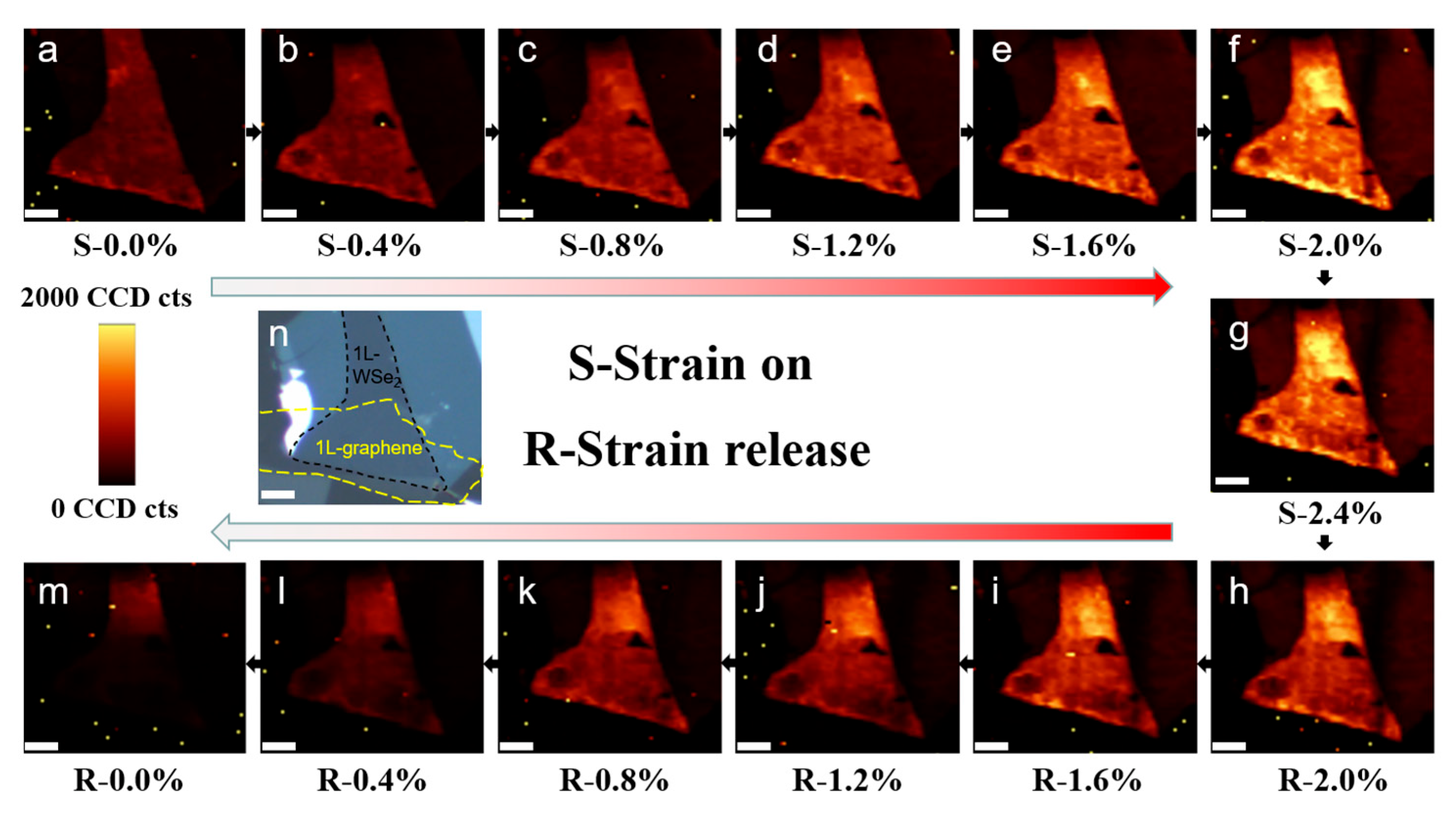Nanomaterials 13 00833 g003