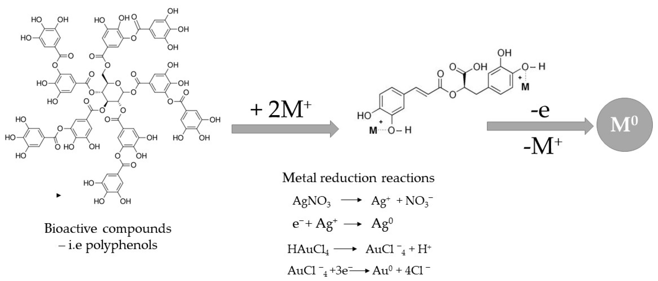 Nanomaterials 13 00836 g006