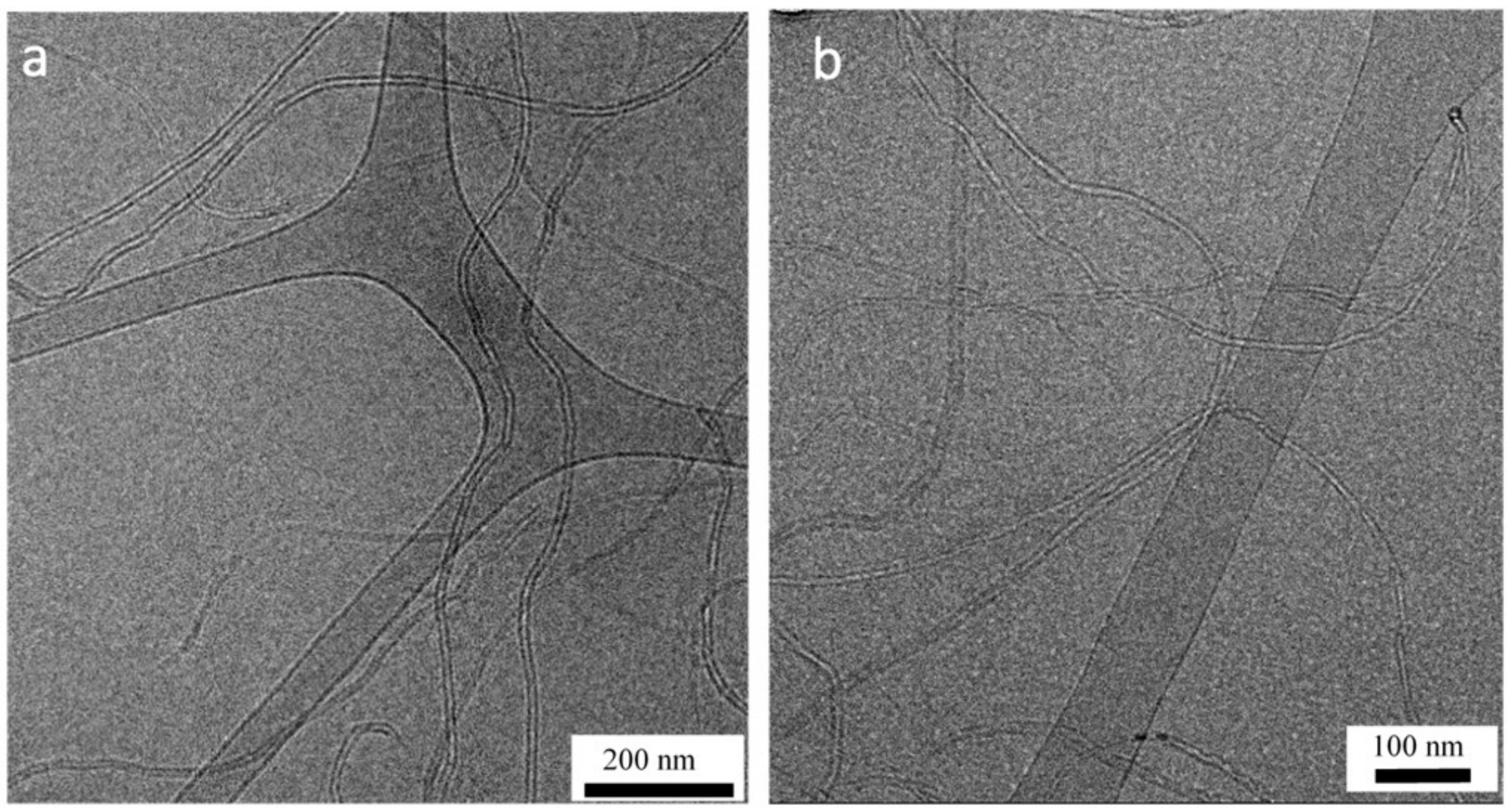 Nanomaterials 13 00838 g002
