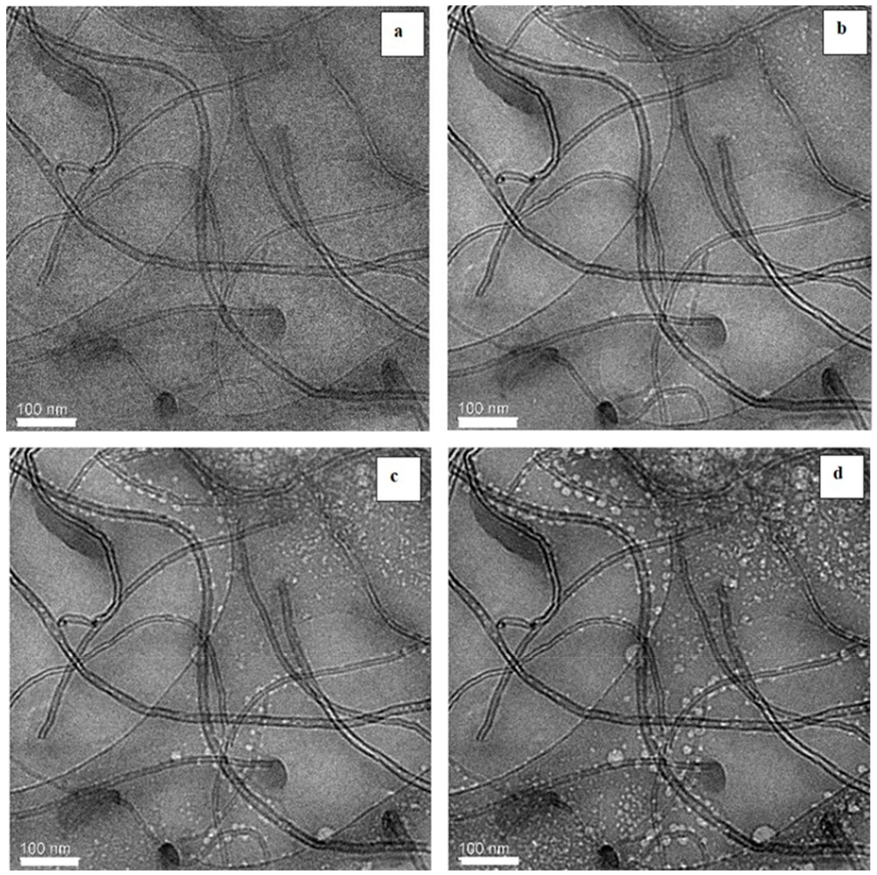 Nanomaterials 13 00838 g003