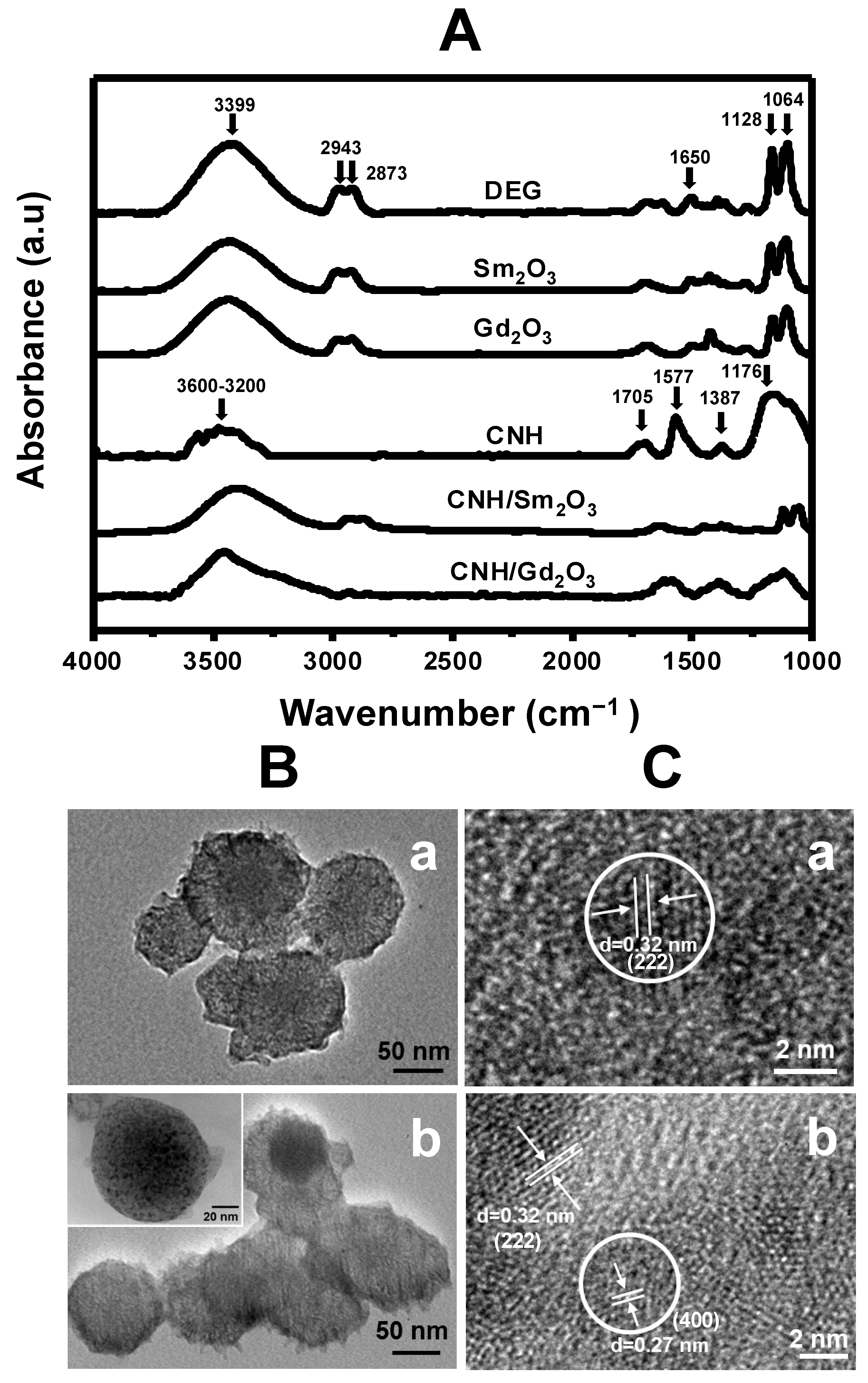 Nanomaterials 13 00839 g001