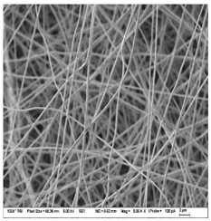 Nanomaterials 13 00844 i005