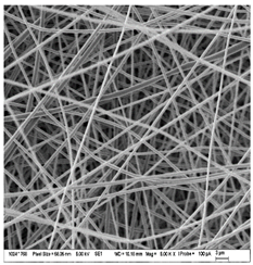Nanomaterials 13 00844 i006