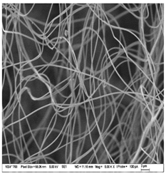 Nanomaterials 13 00844 i007