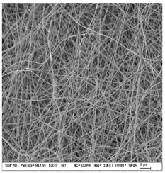 Nanomaterials 13 00844 i008