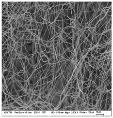Nanomaterials 13 00844 i010