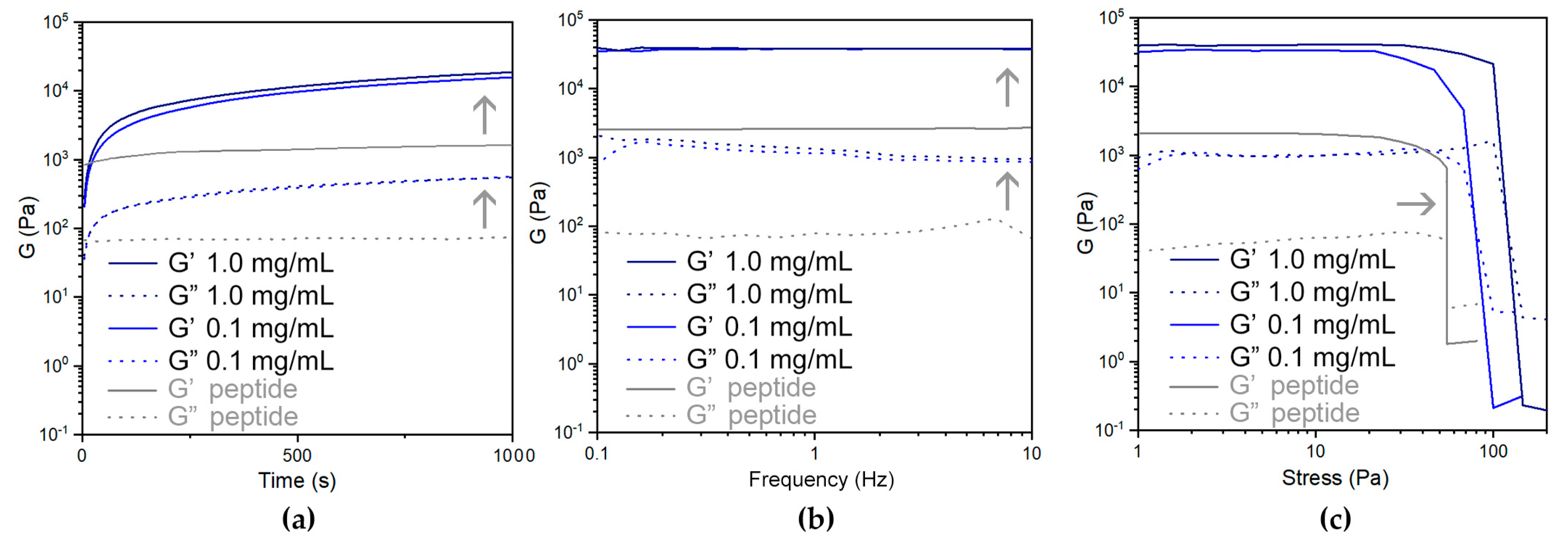 Nanomaterials 13 00847 g007 Nanomaterials 13 00847 g007