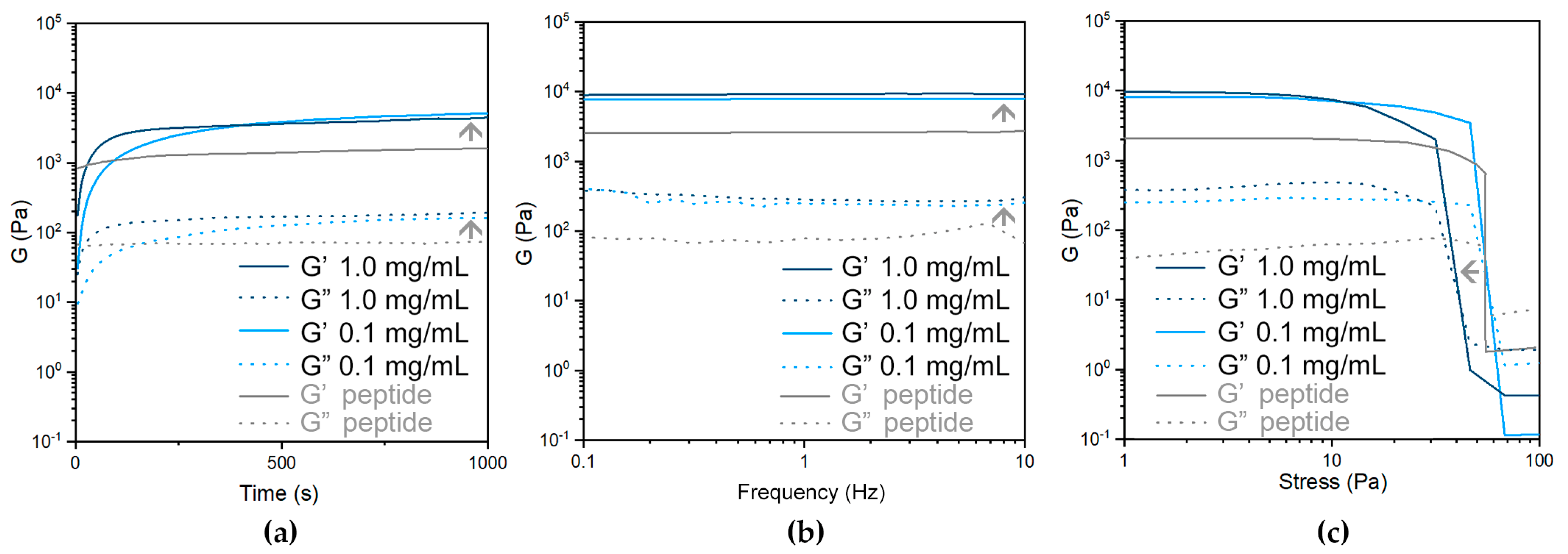 Nanomaterials 13 00847 g008 Nanomaterials 13 00847 g008