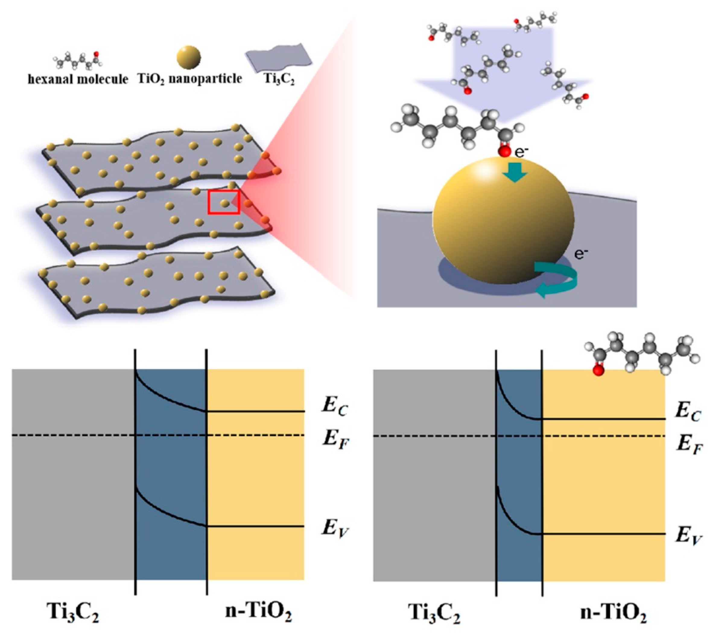 Nanomaterials 13 00850 g013