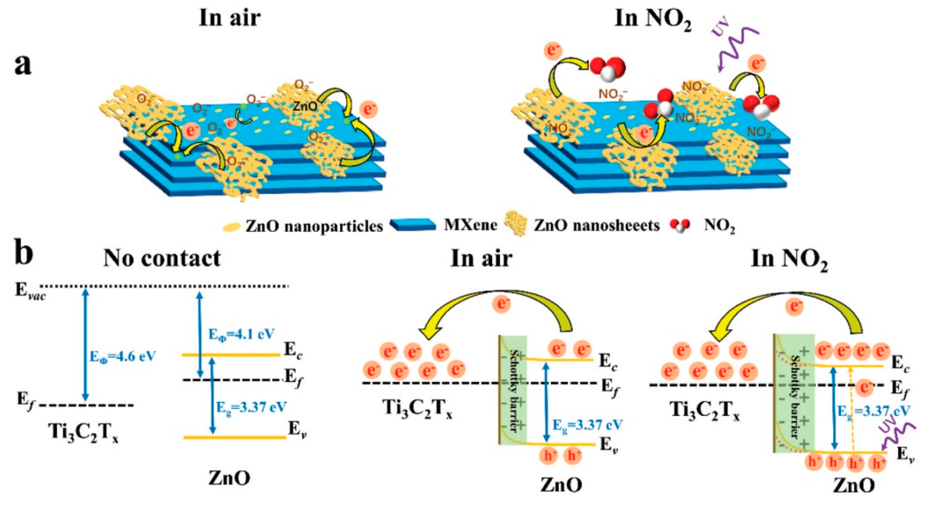 Nanomaterials 13 00850 g021