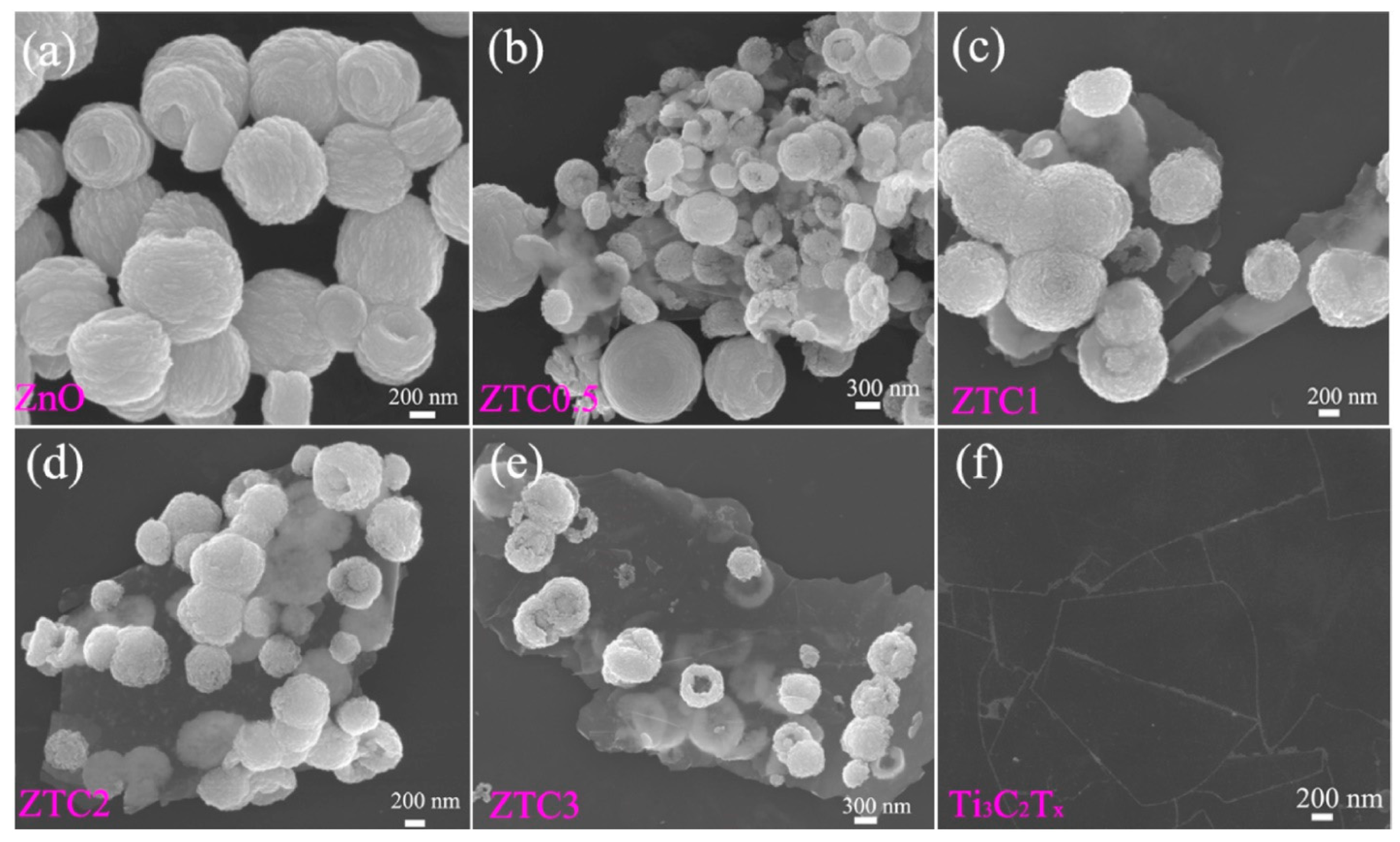 Nanomaterials 13 00850 g023