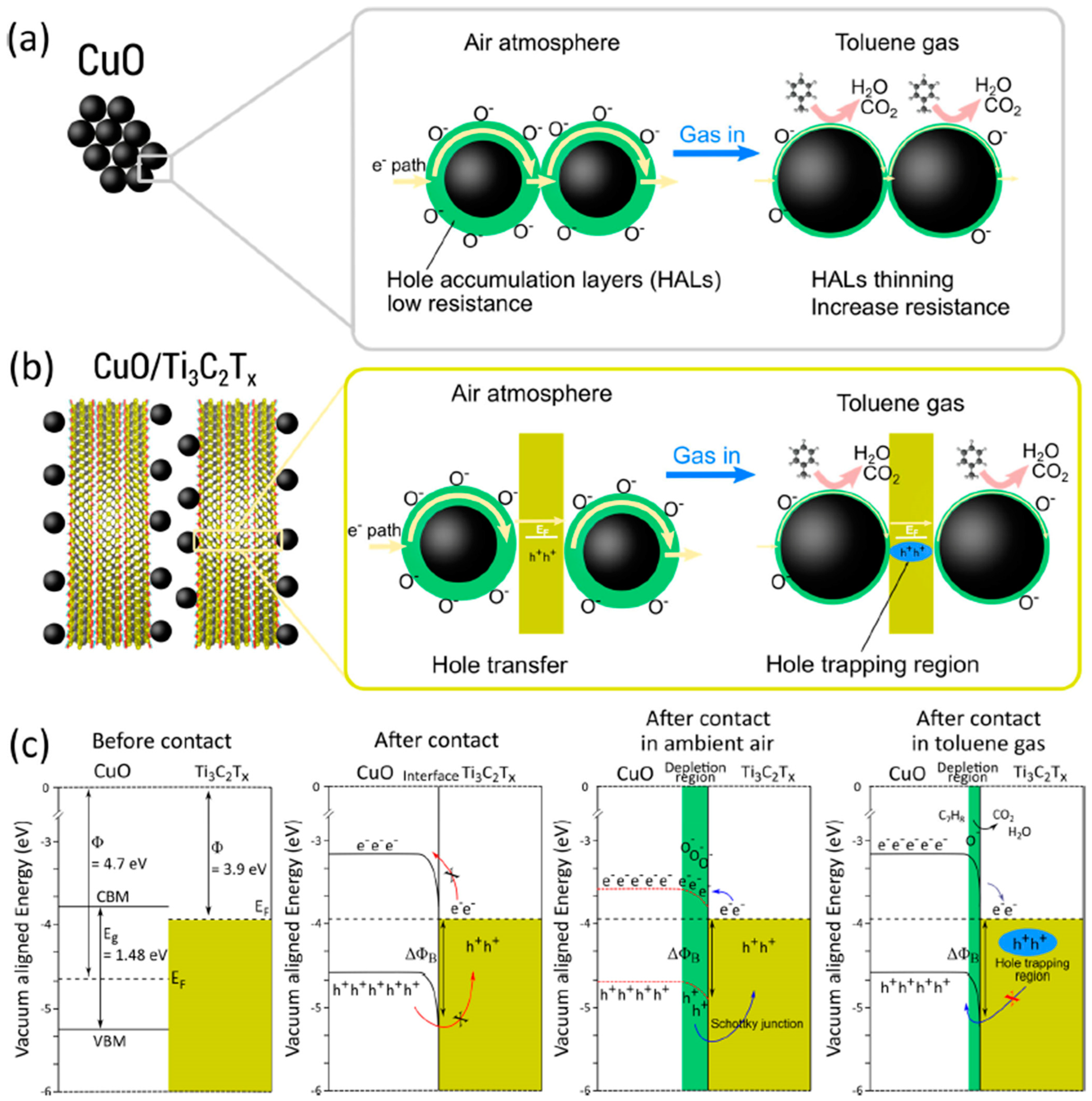 Nanomaterials 13 00850 g030