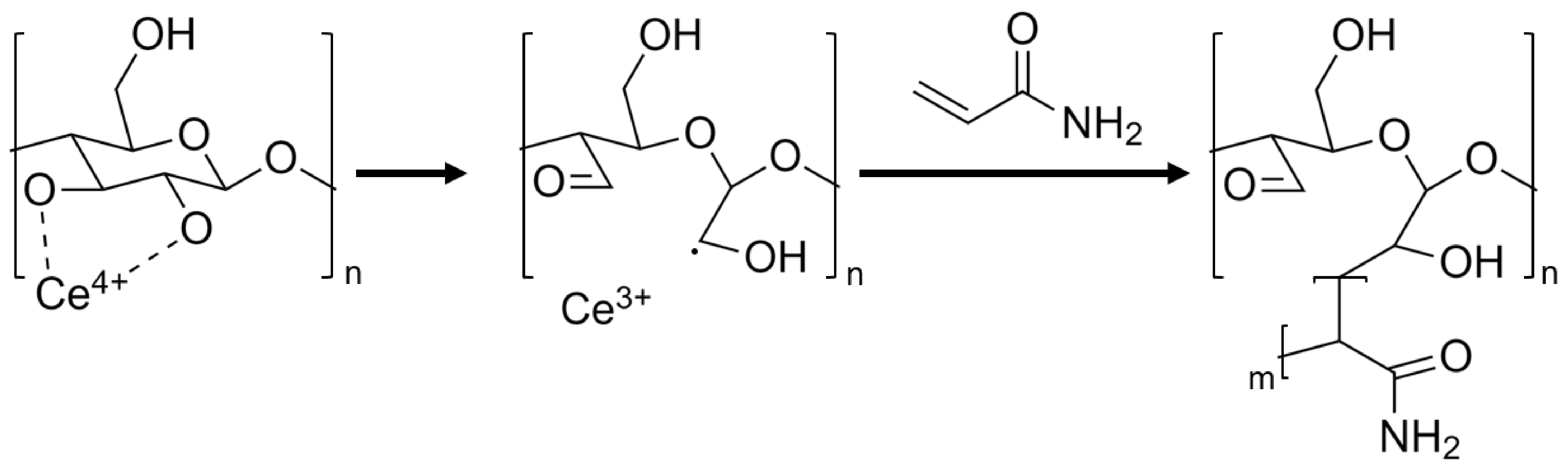 Nanomaterials 13 00853 g001