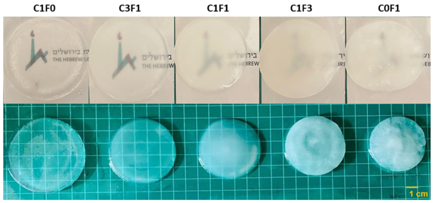Nanomaterials 13 00853 g003