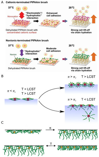 Nanomaterials 13 00855 g005