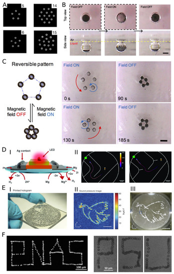 Nanomaterials 13 00855 g007