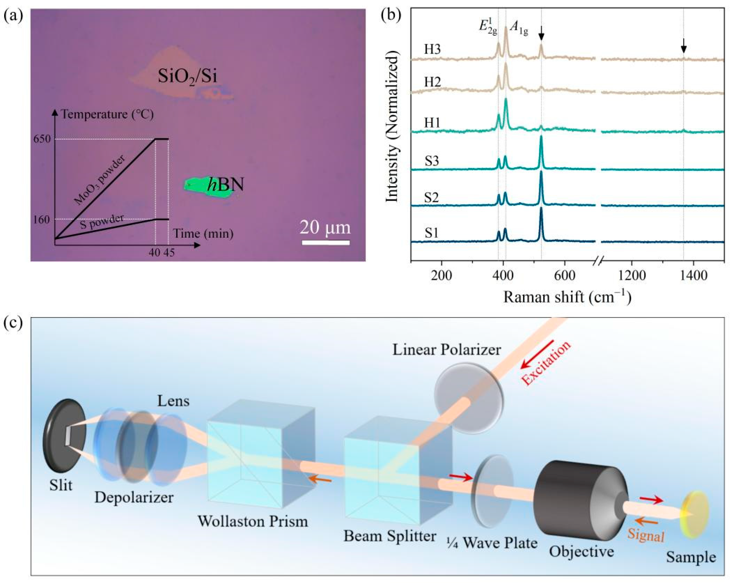 Nanomaterials 13 00861 g001