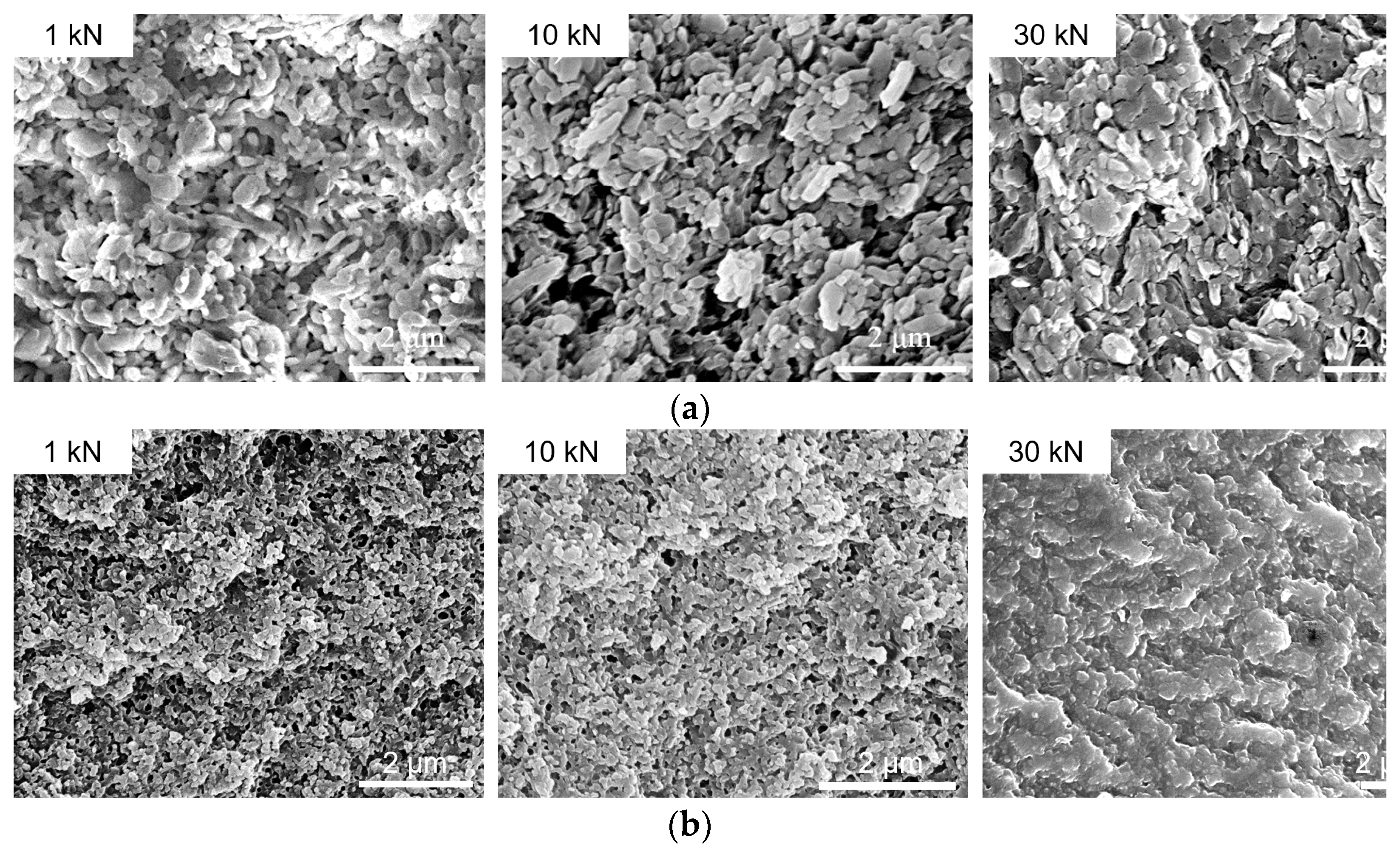 Nanomaterials 13 00869 g007