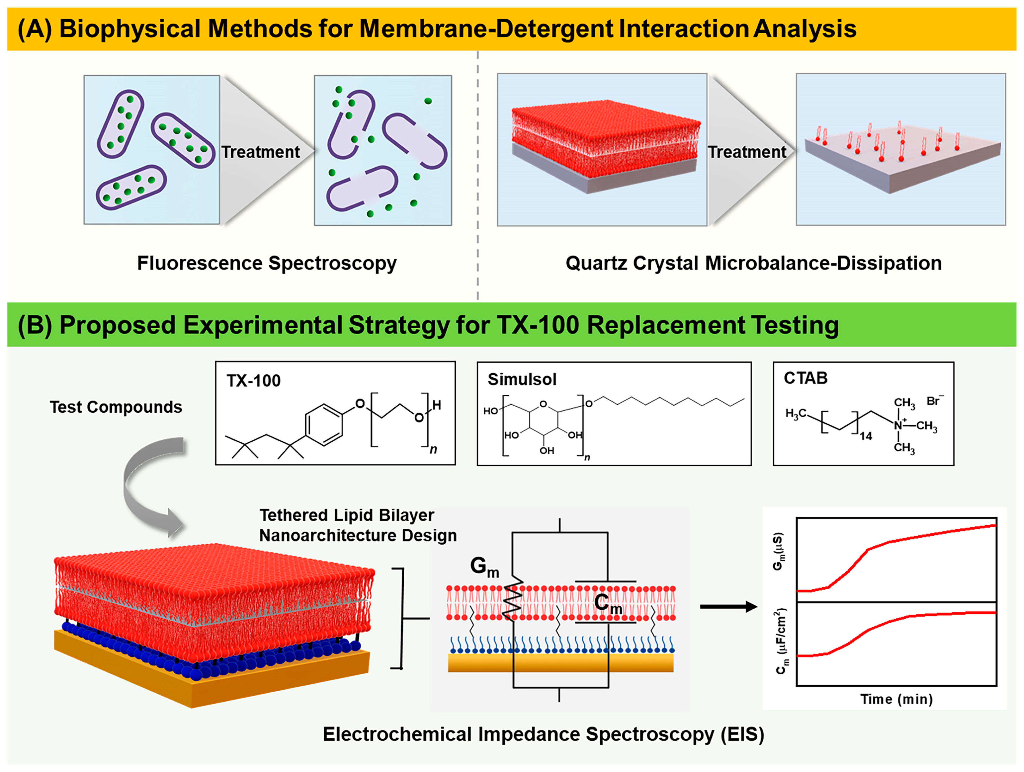 Nanomaterials 13 00874 g001 Nanomaterials 13 00874 g001