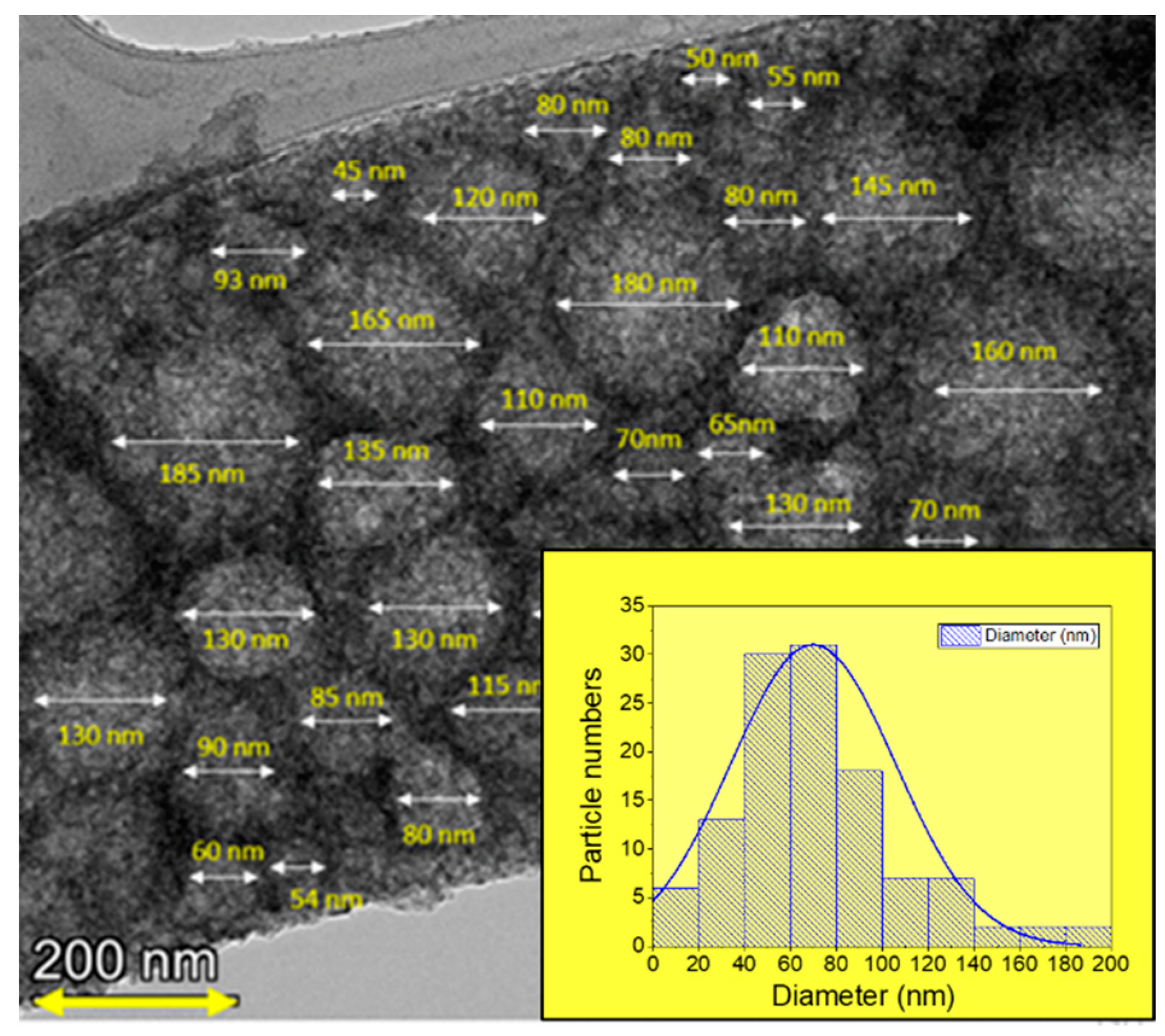 Nanomaterials 13 00880 g005