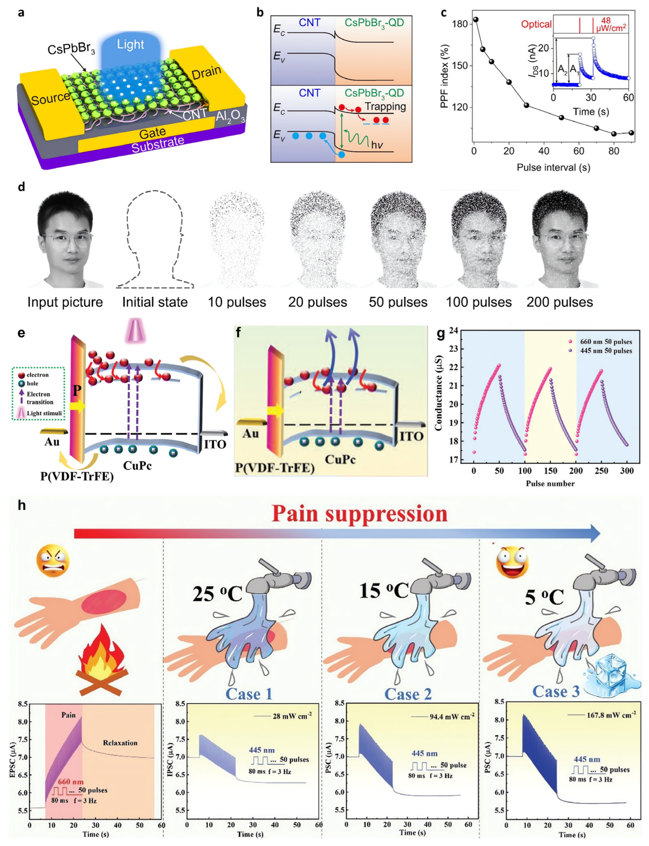 Nanomaterials 13 00882 g007