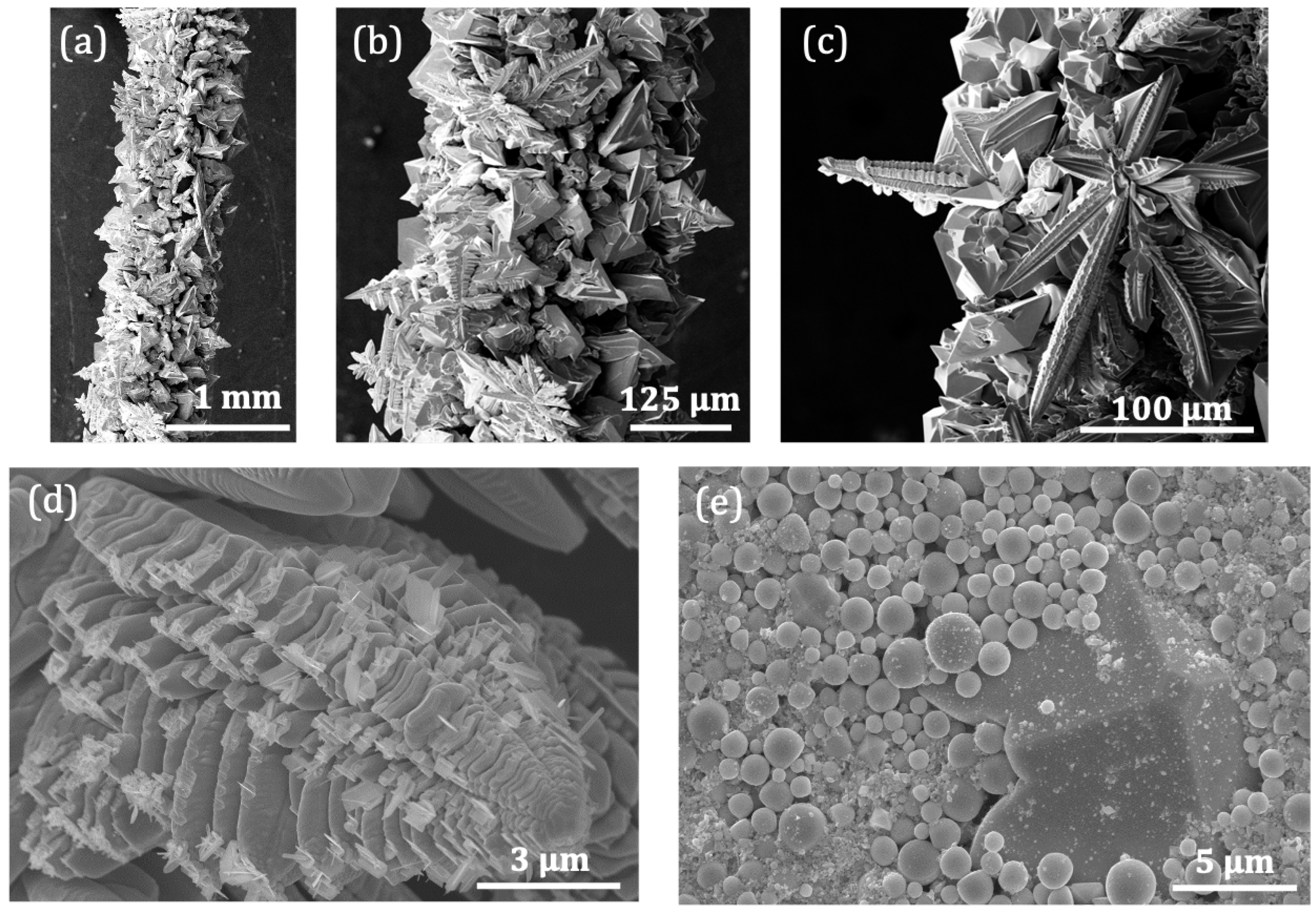 Nanomaterials 13 00884 g002