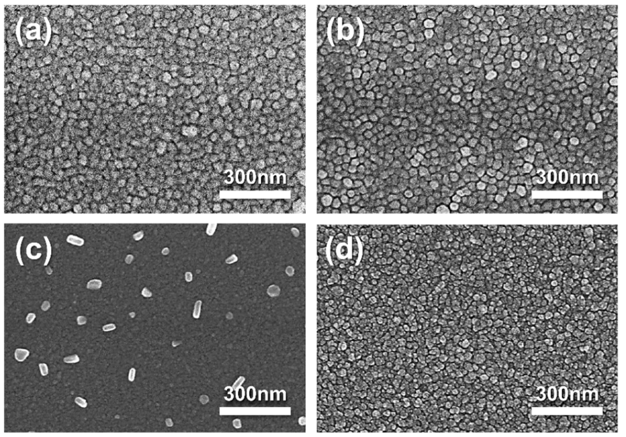 Nanomaterials 13 00886 g004