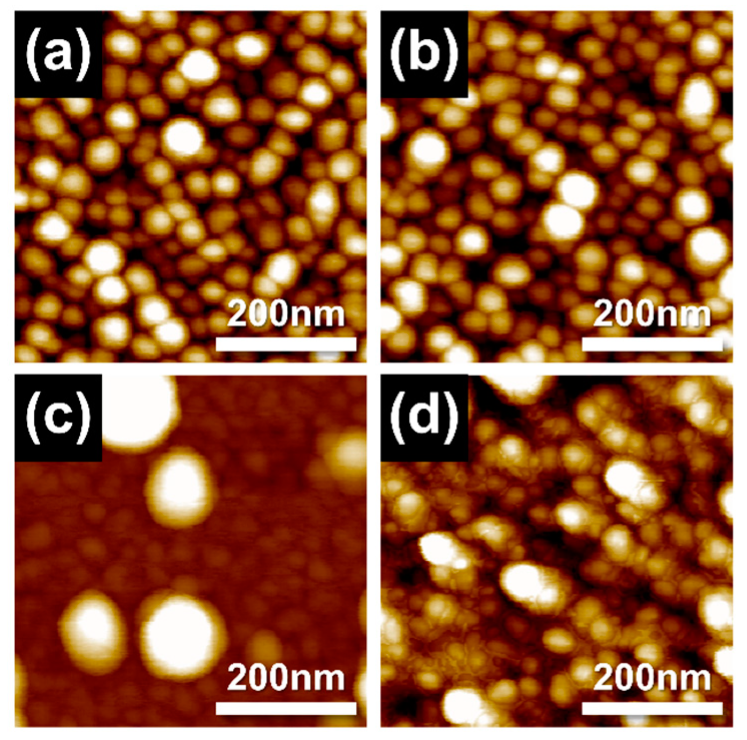 Nanomaterials 13 00886 g005