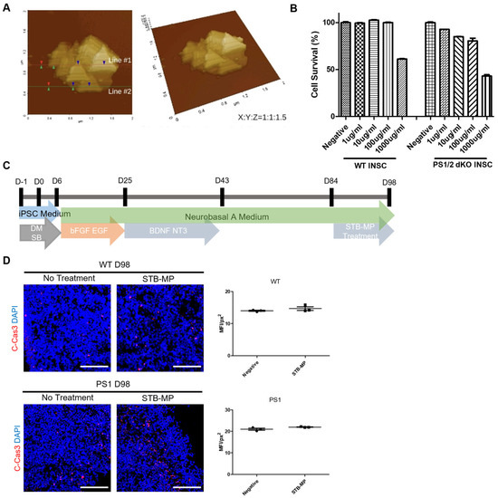 Nanomaterials 13 00893 g002