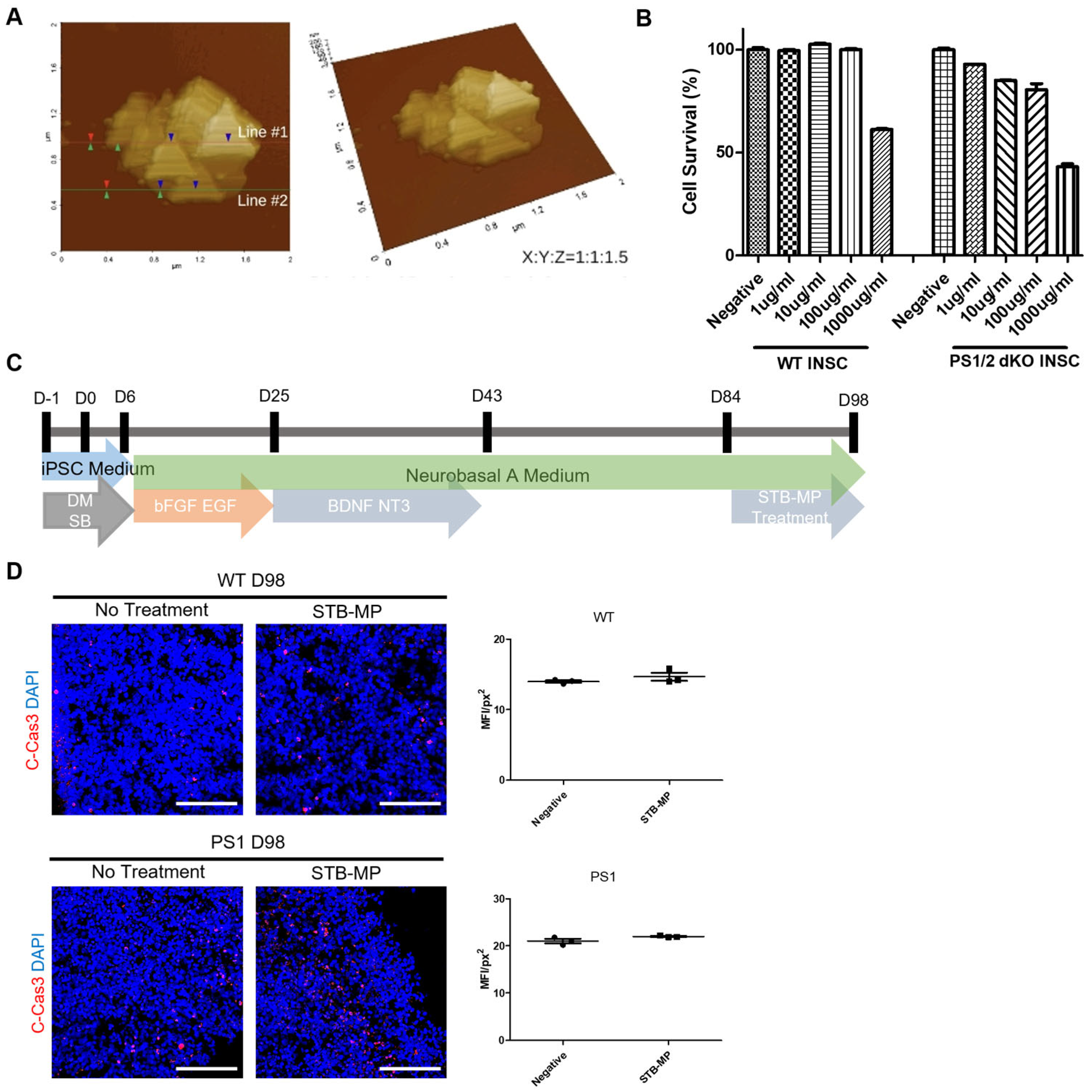 Nanomaterials 13 00893 g002