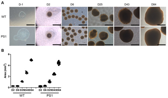 Nanomaterials 13 00893 g0a1