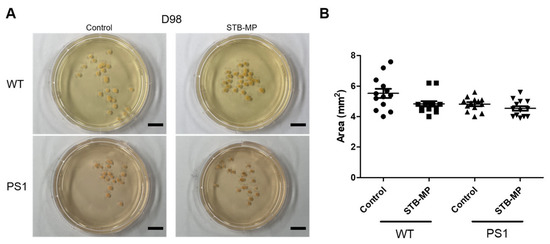Nanomaterials 13 00893 g0a2