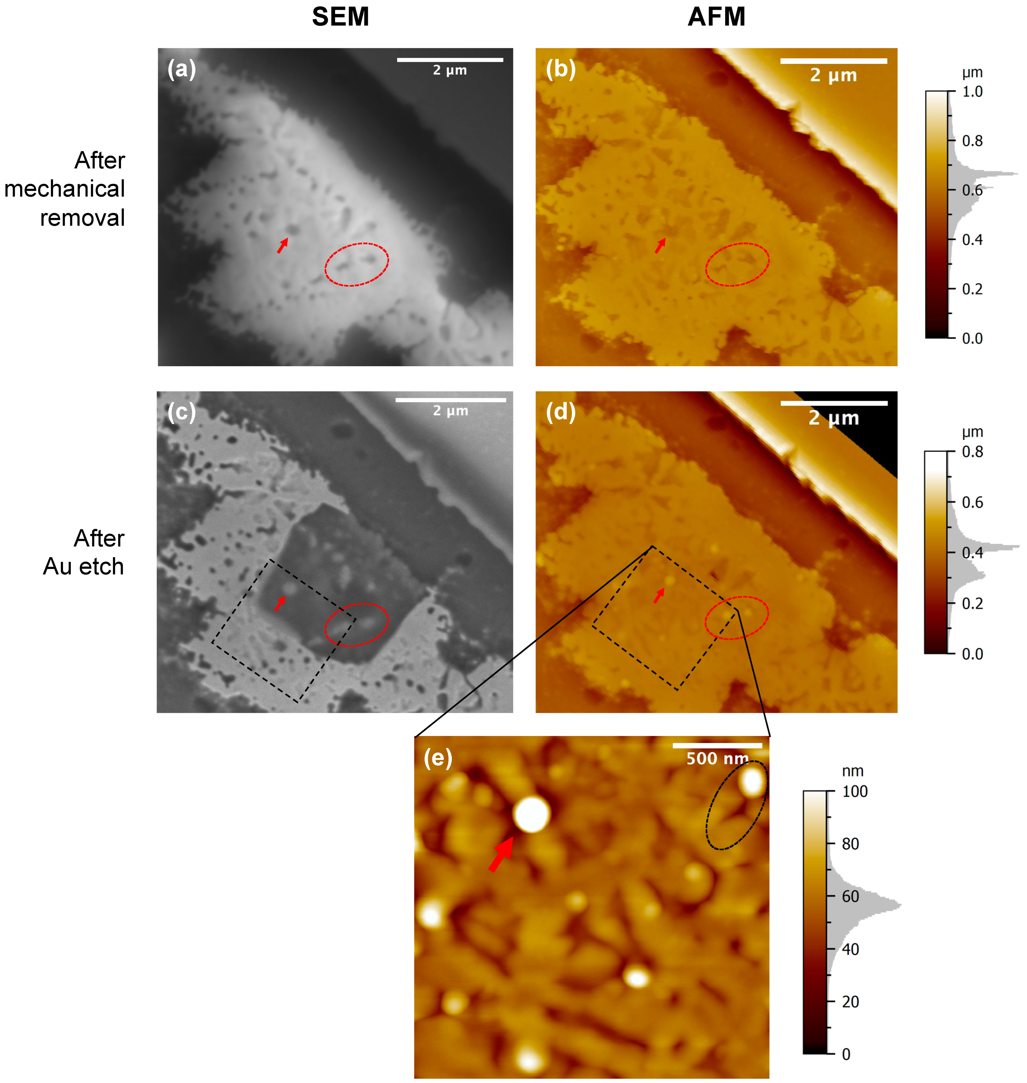 Nanomaterials 13 00894 g007