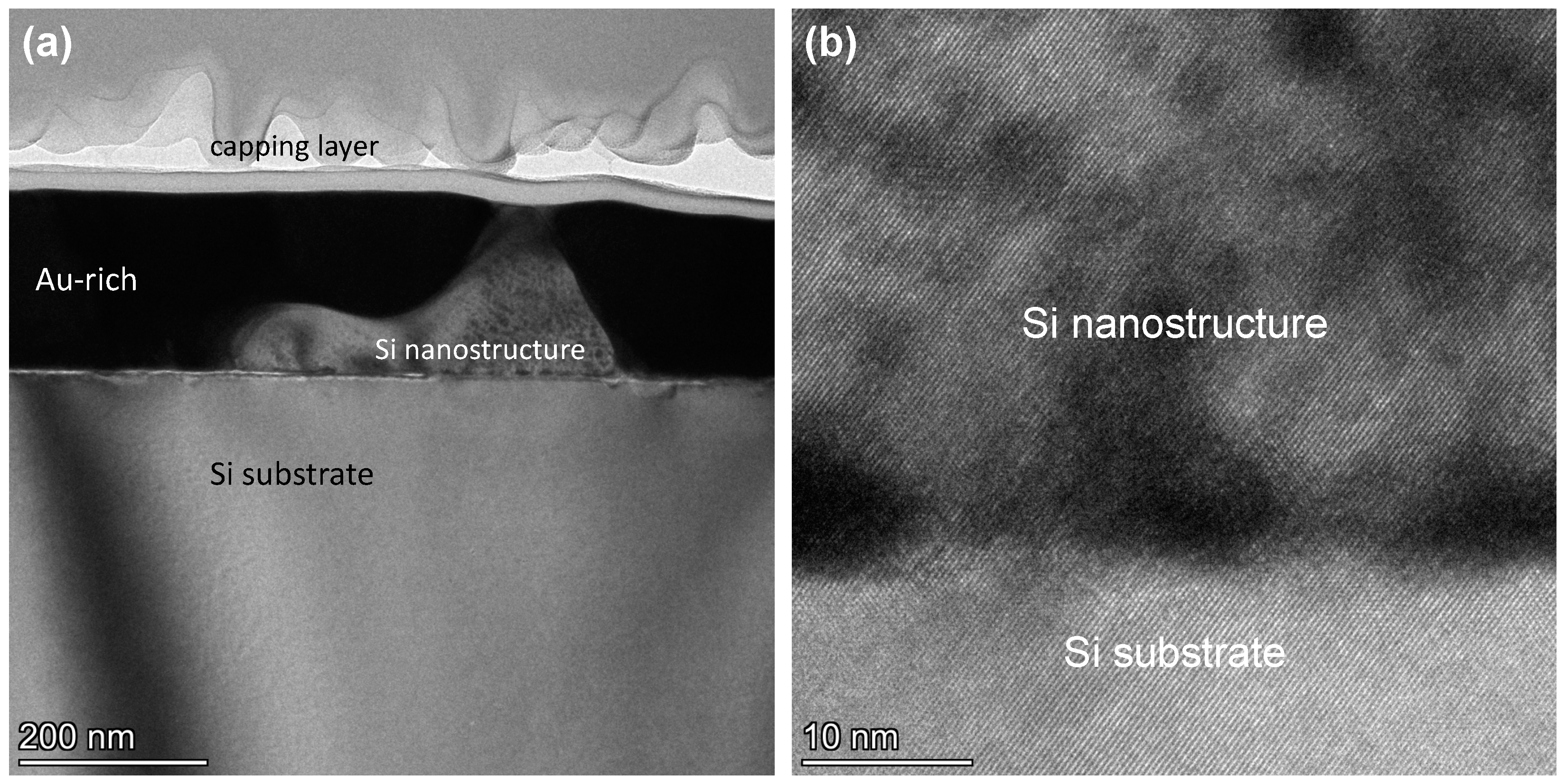 Nanomaterials 13 00894 g009